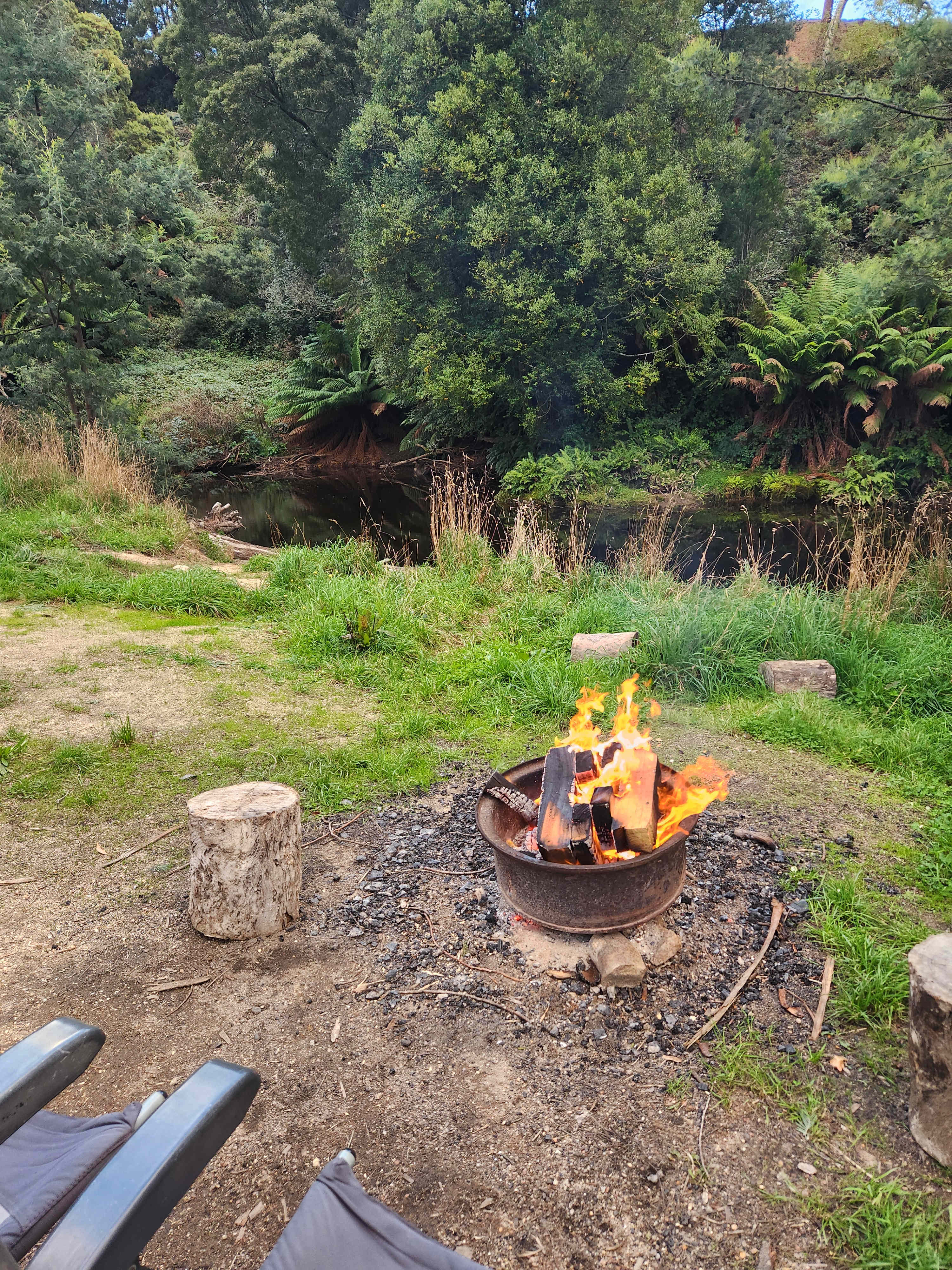 Fairview Farm Ringarooma Tasmania