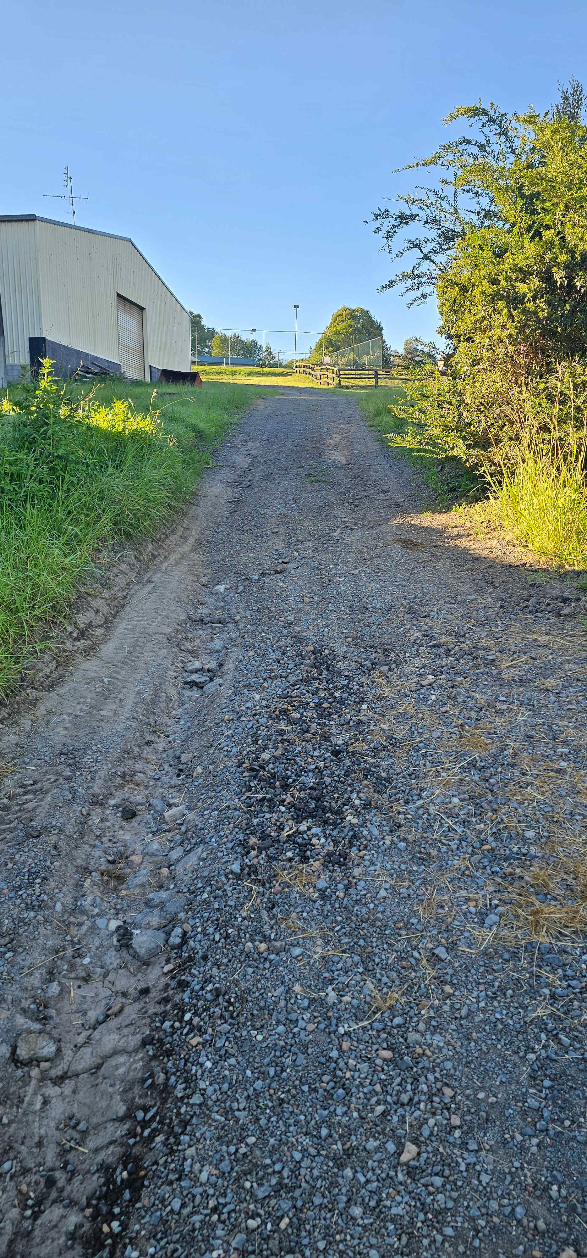 Picture of the site