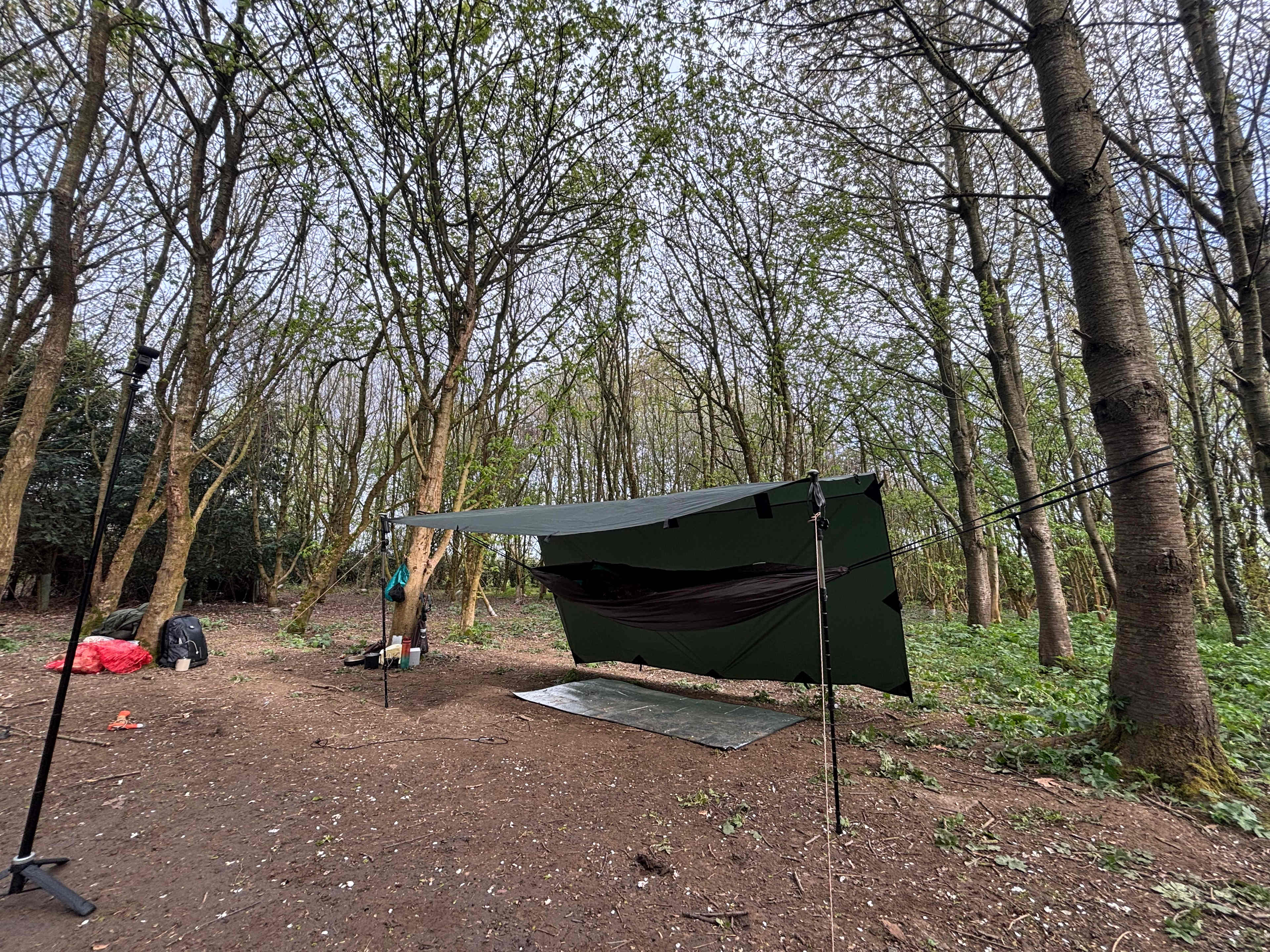 Fire and Stars Woodland Camping