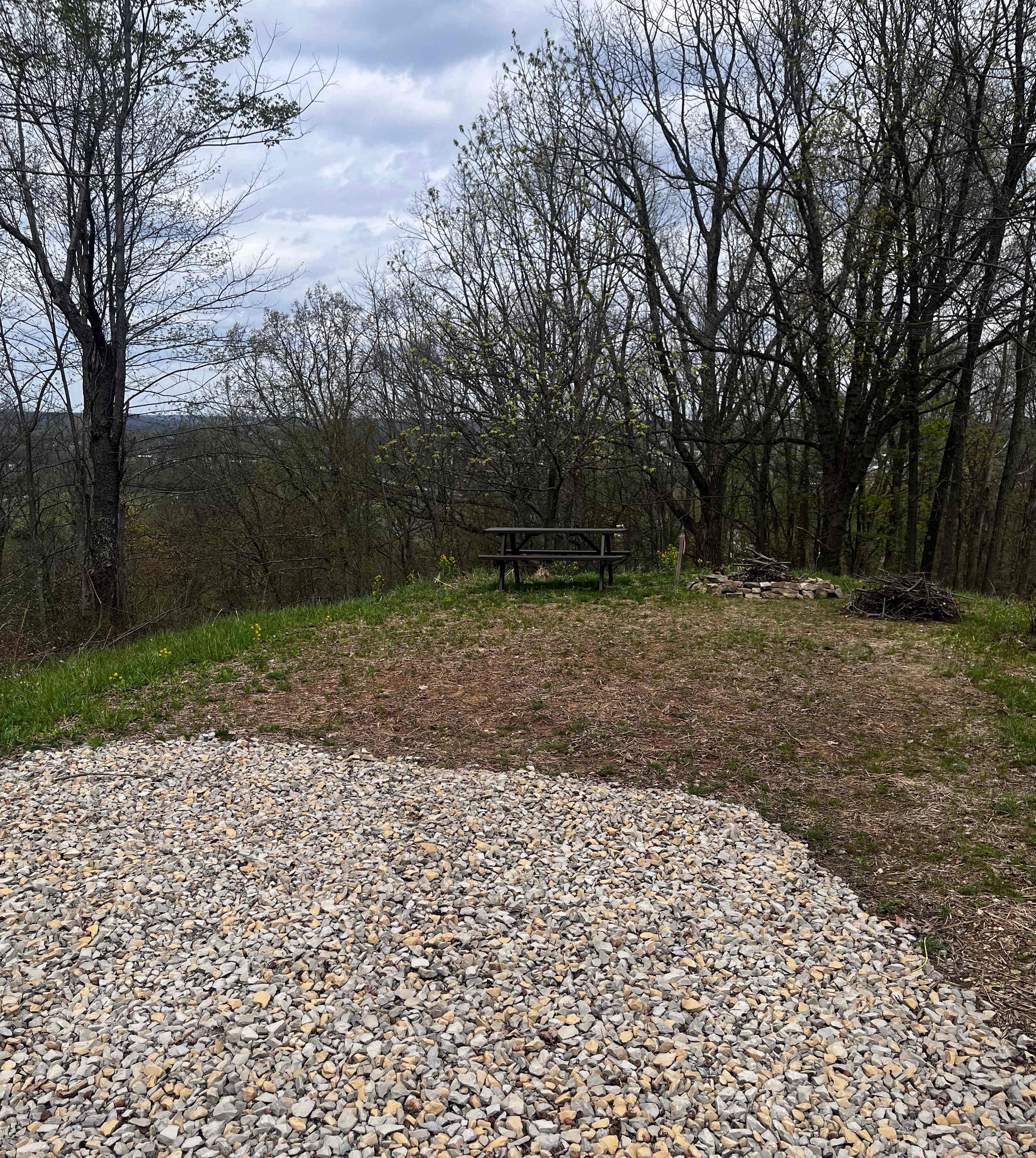 Picture of the site