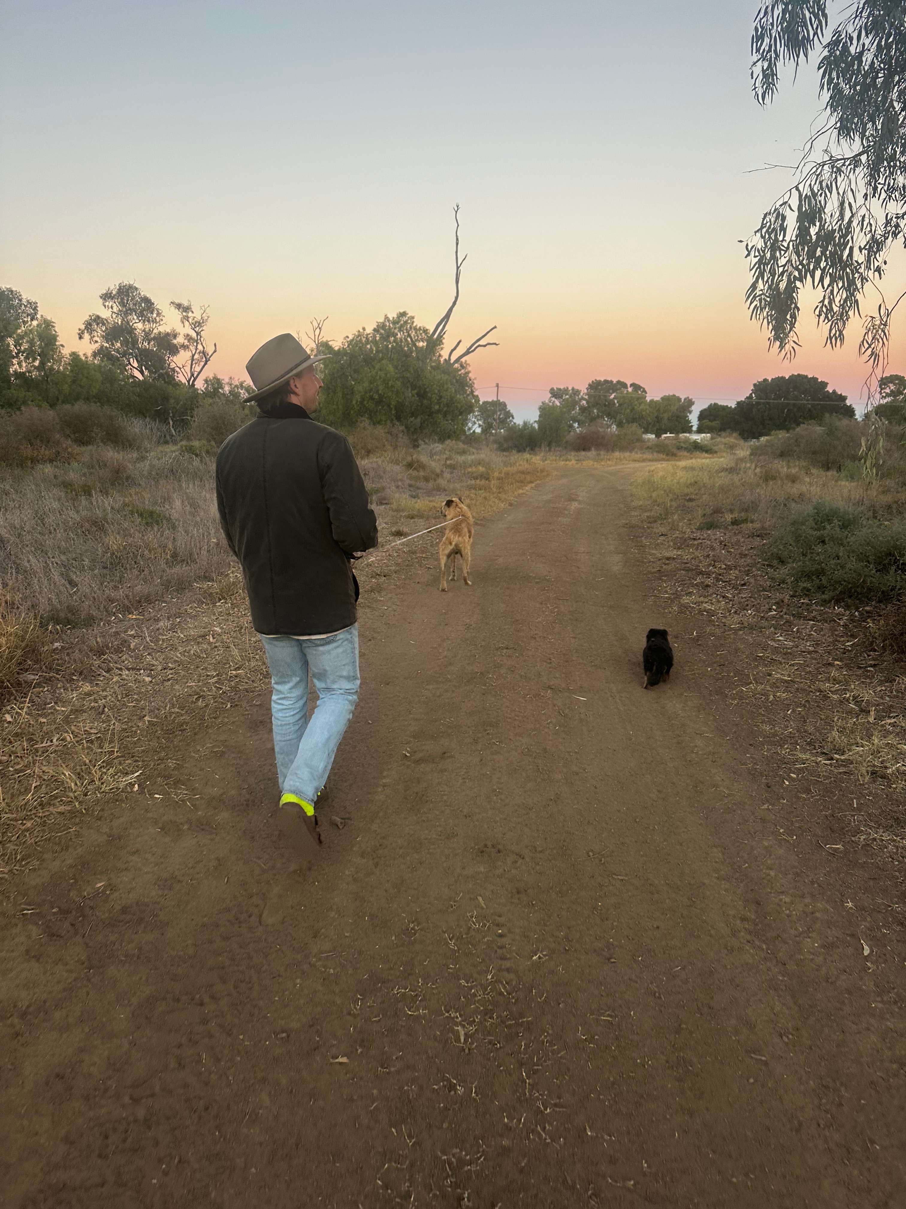 Beautiful spot to walk the doggos 🐶