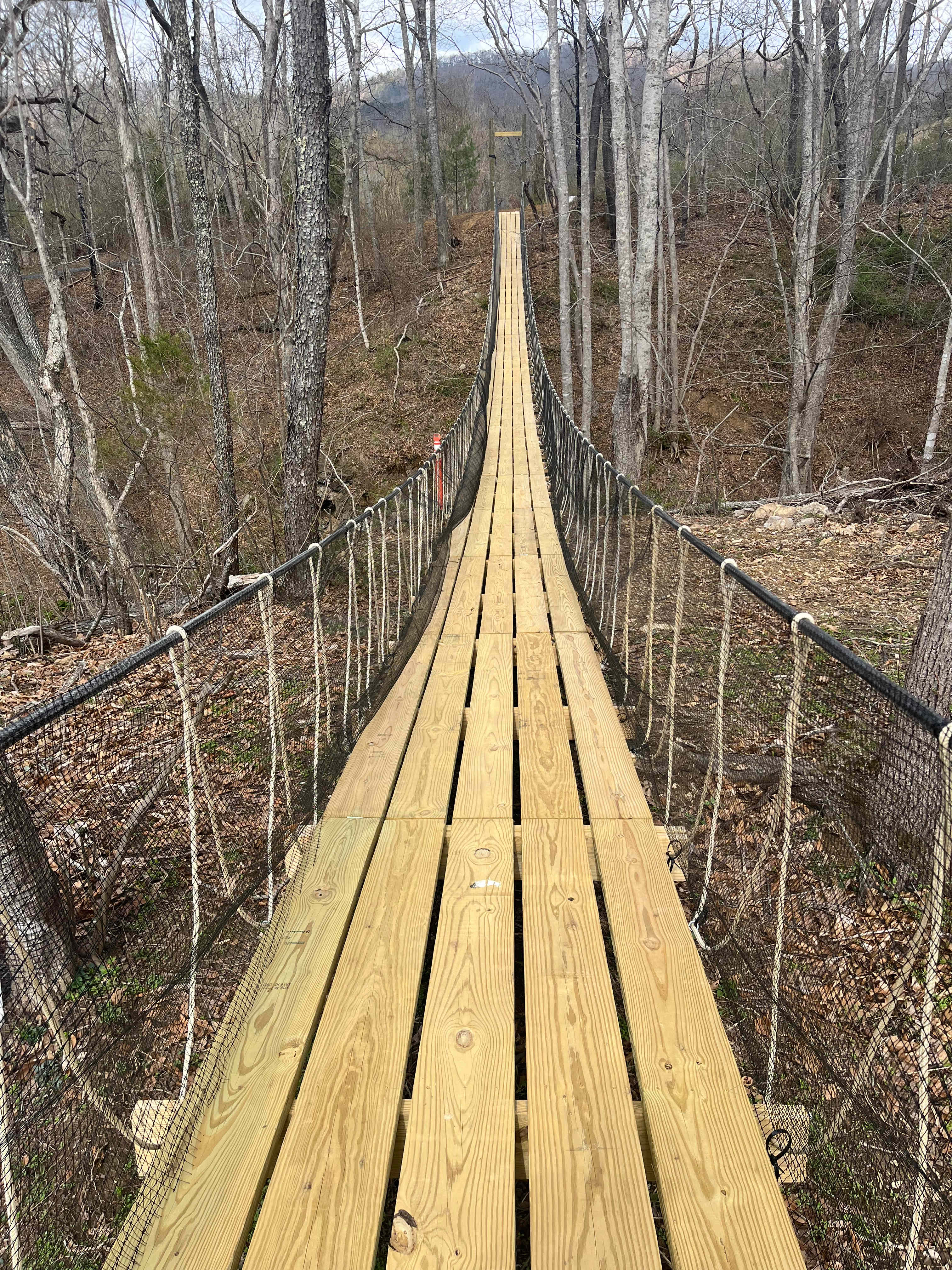 New bridge Beau just had done. 