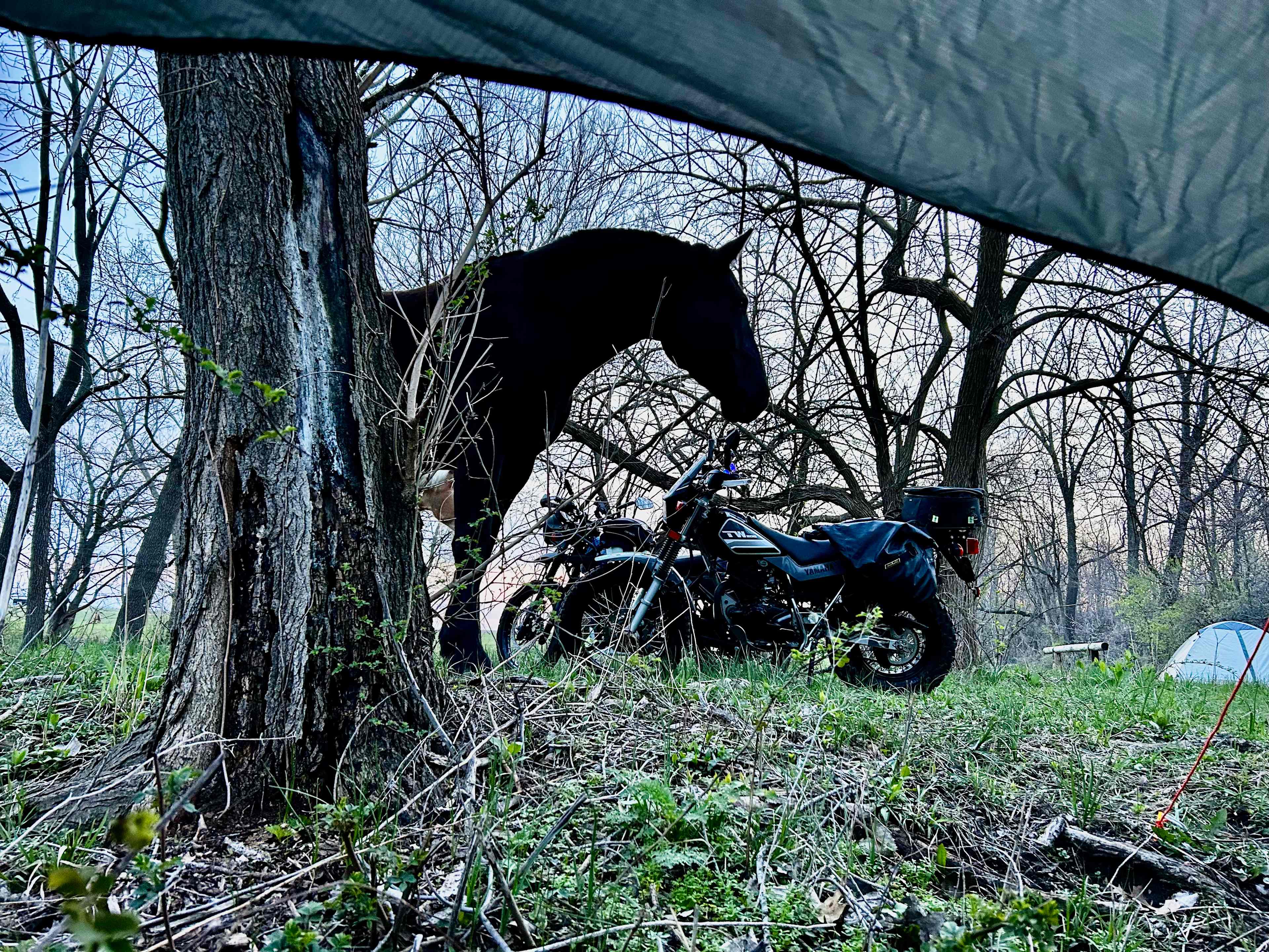 Millbrook Trail Rides