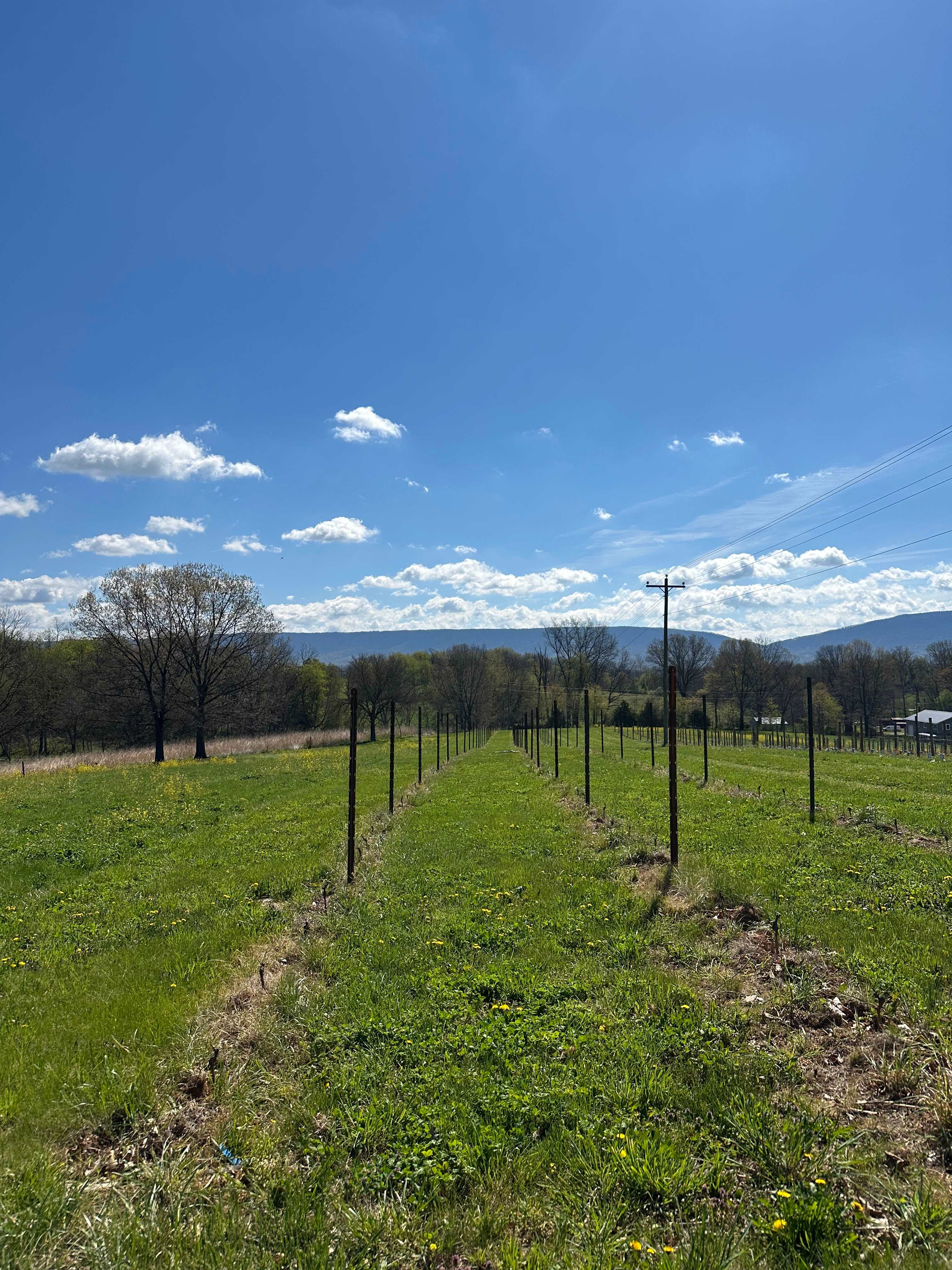 B and M Journey Farm