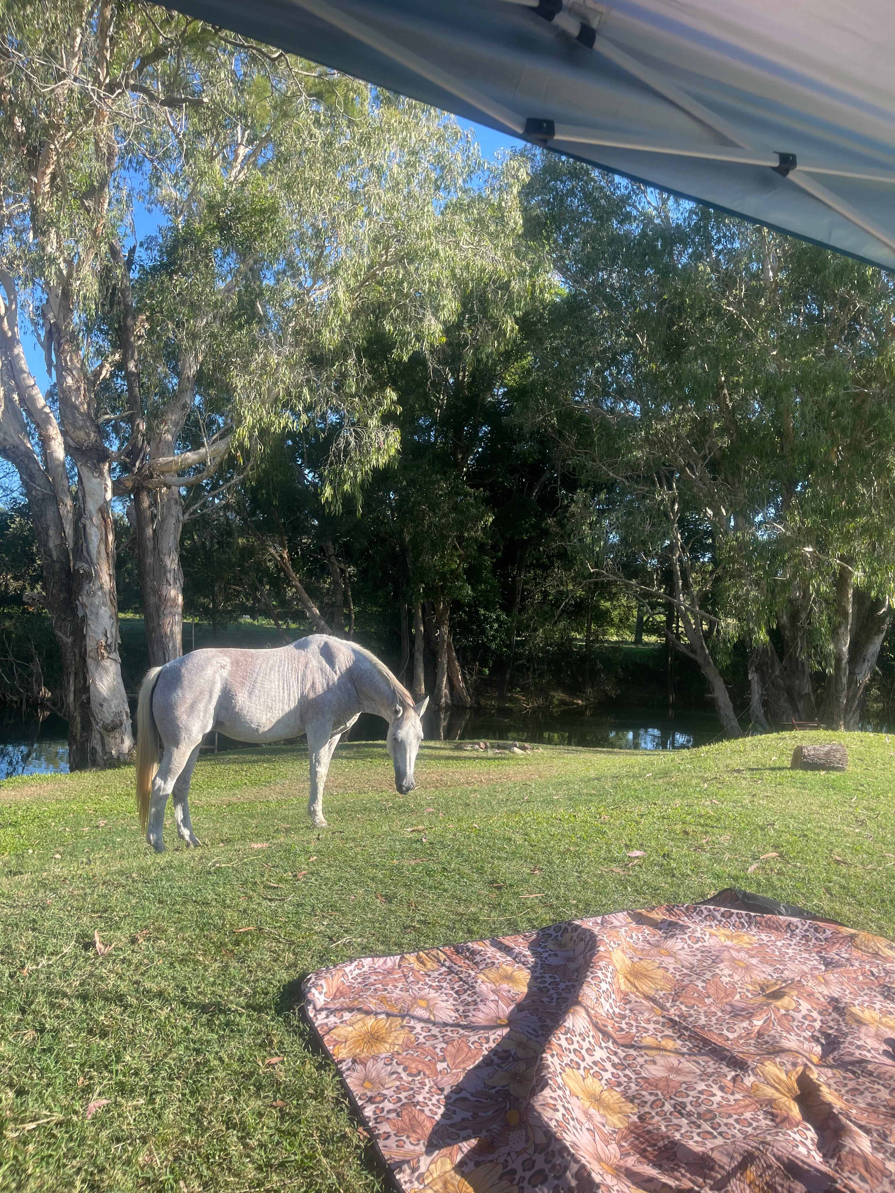 Ilbilbie Station Farm Stay