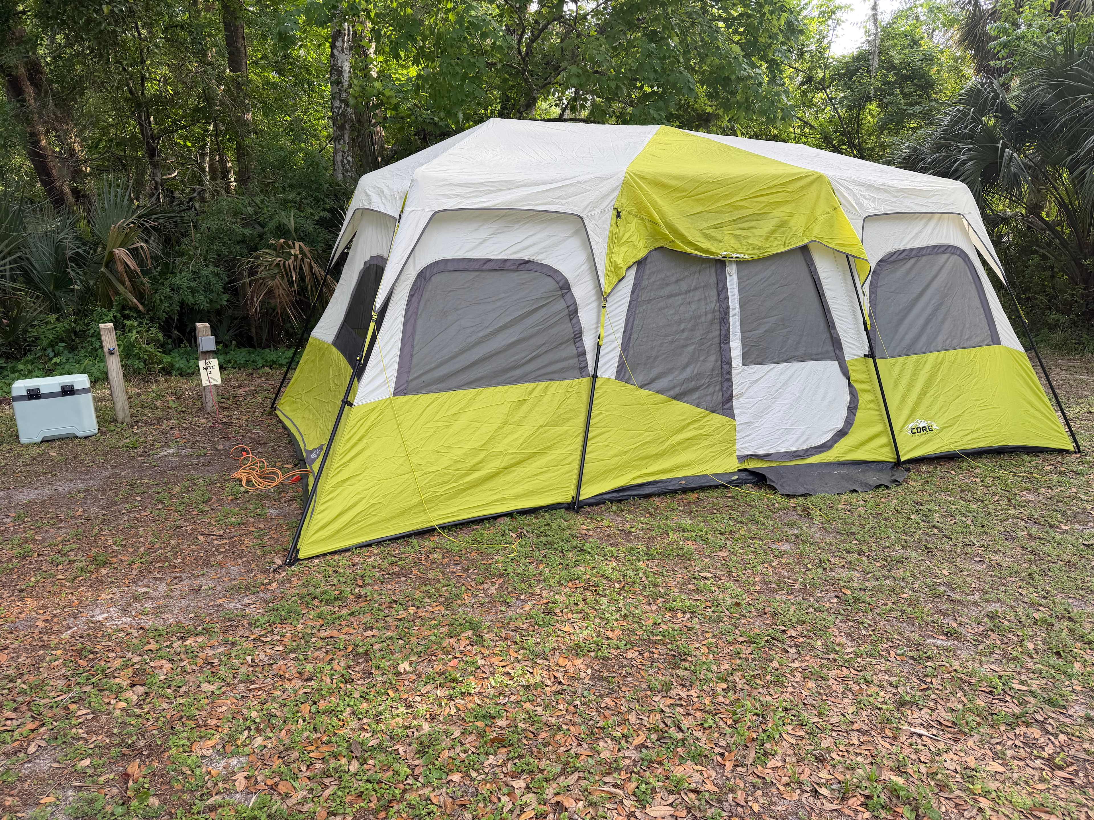 Plenty of room for my 10 person tent.  Perfectly shaded!