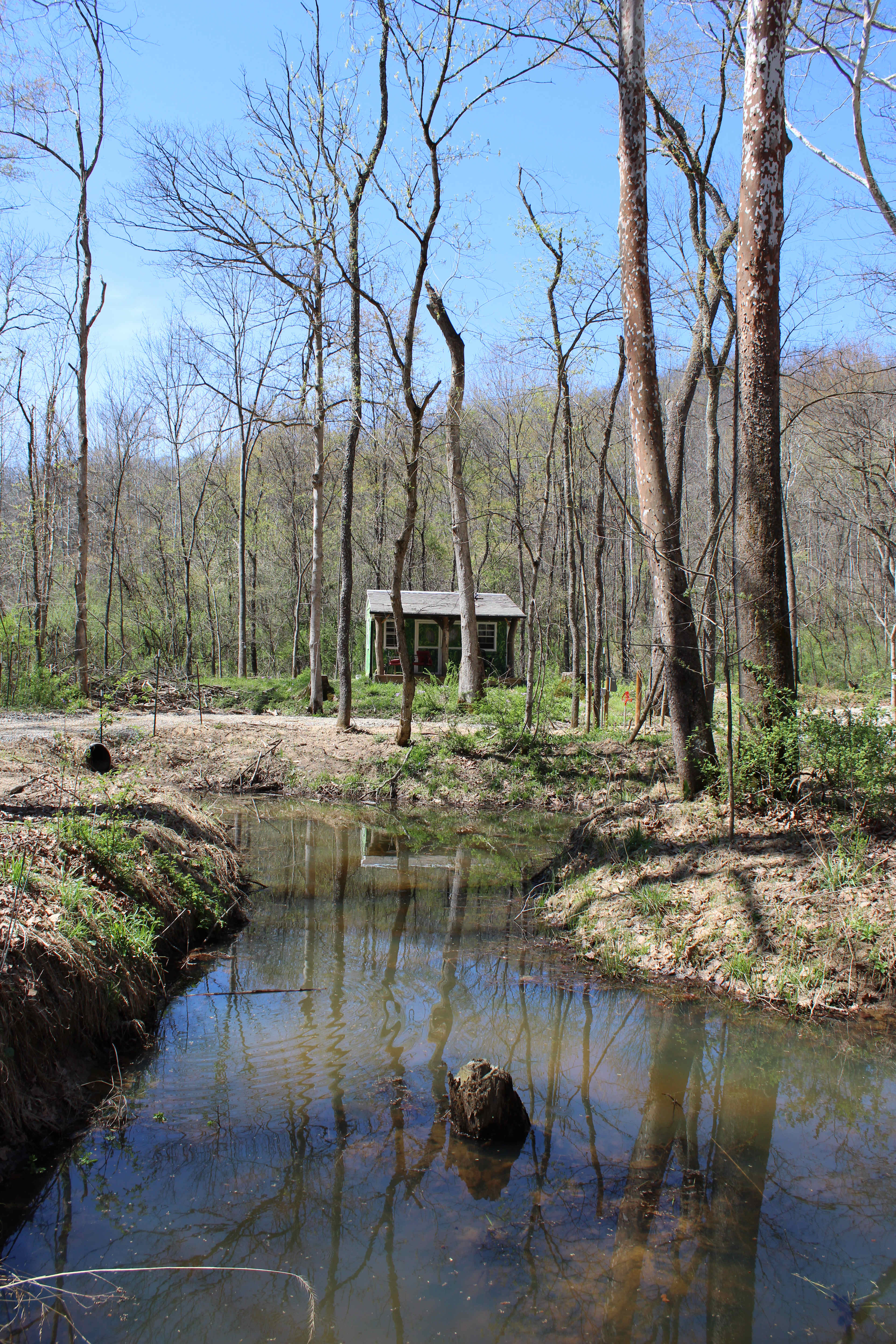 Picture of the site