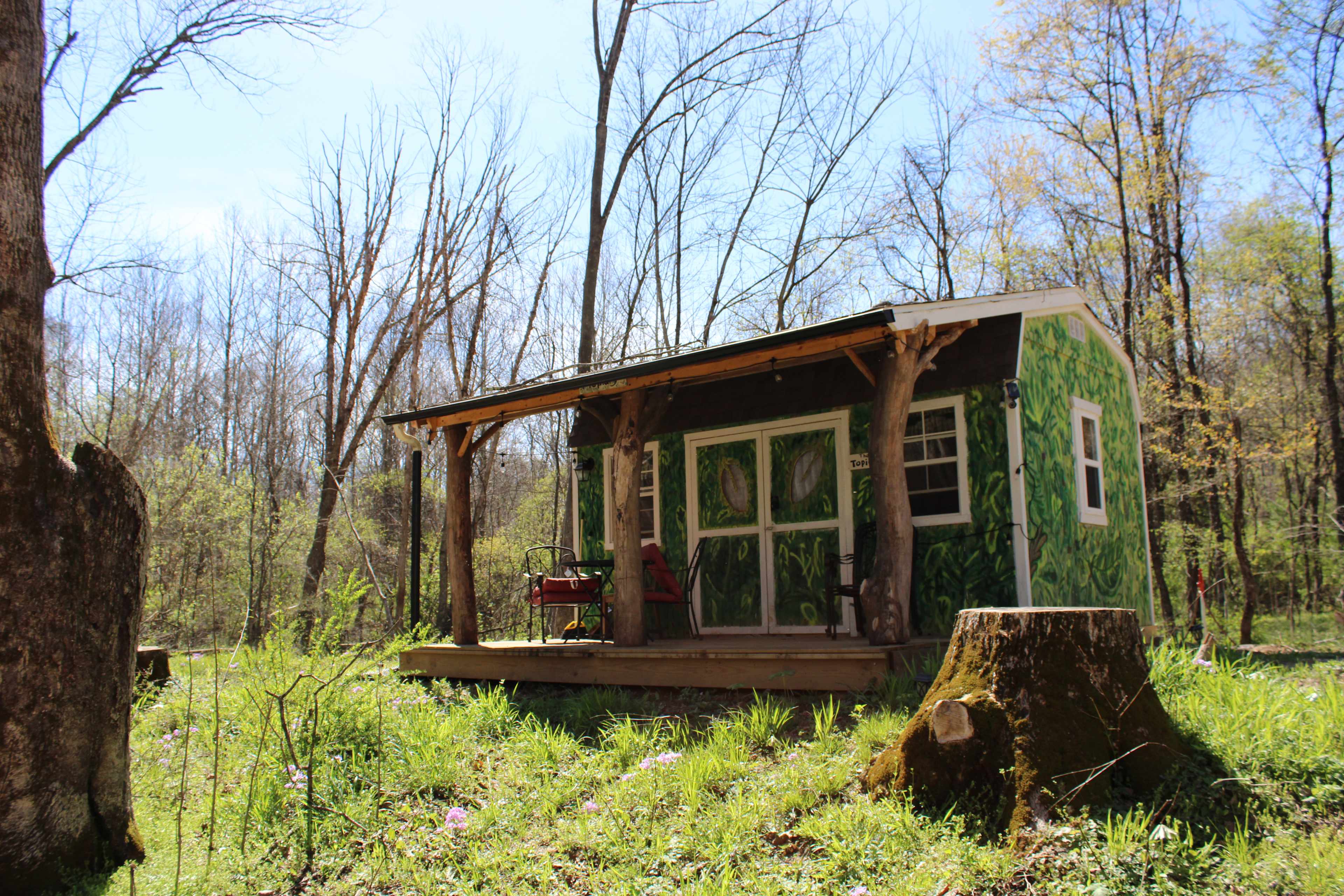 Picture of the site
