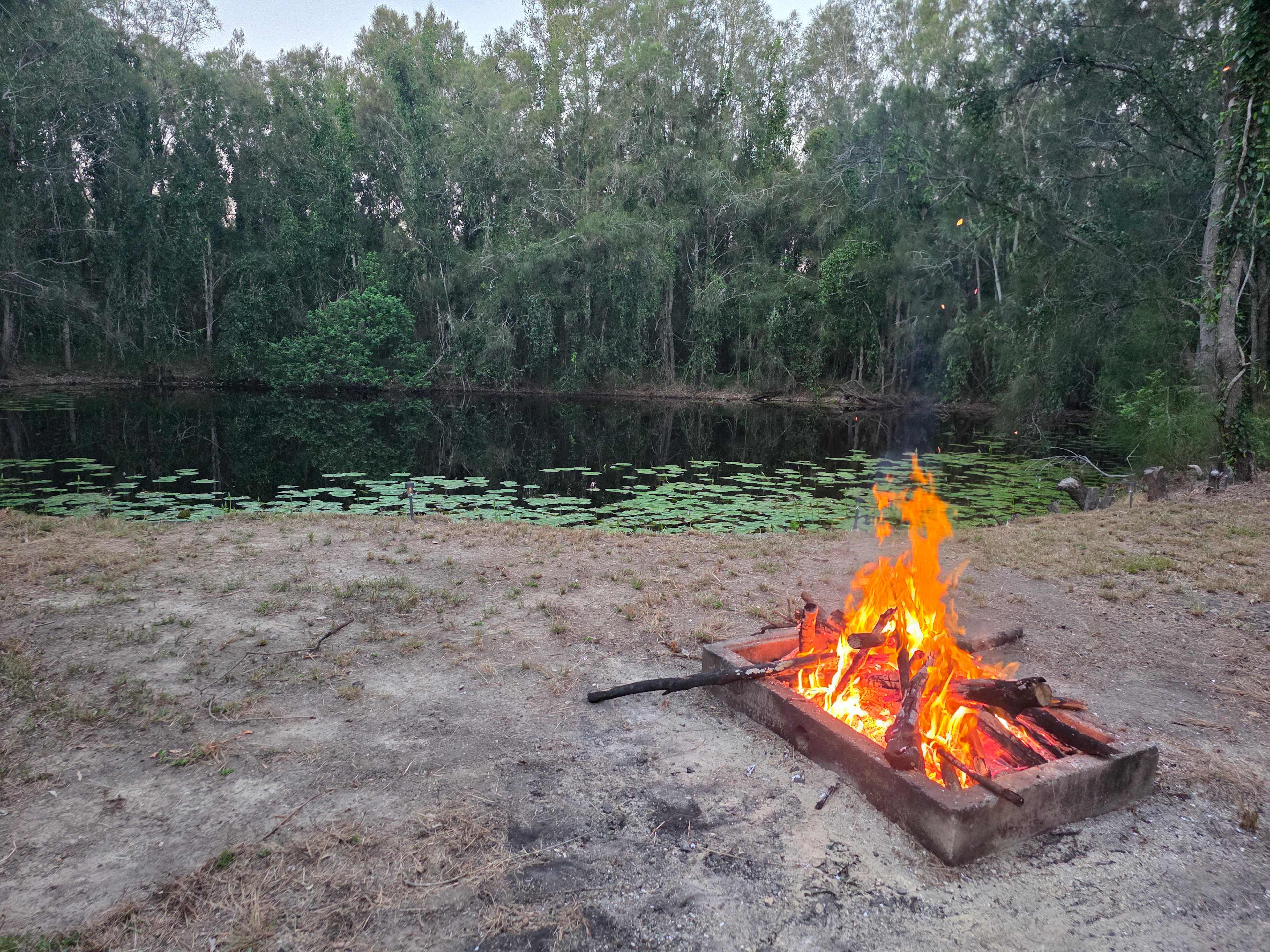 Picture of the site