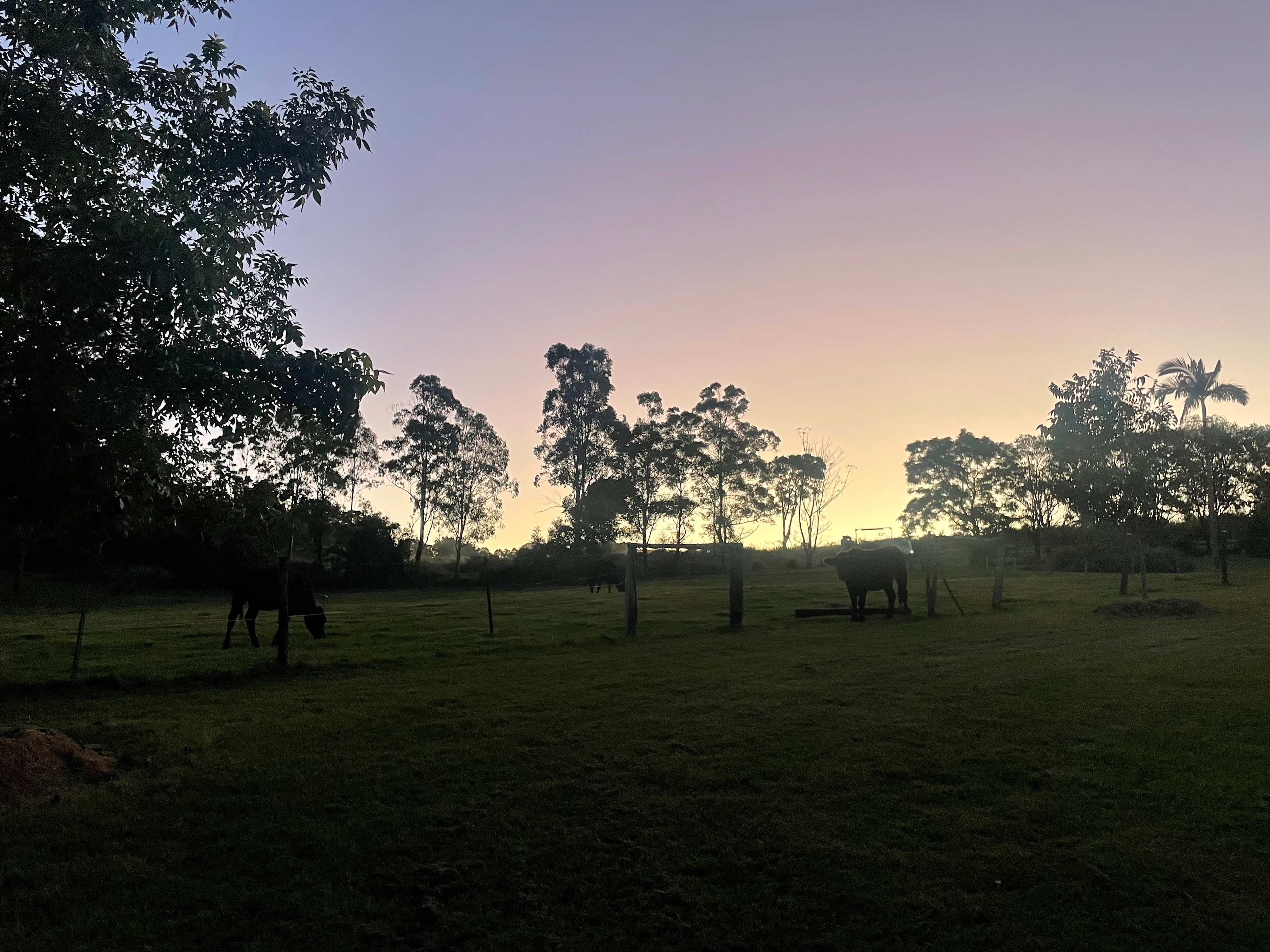 Restful sanctuary