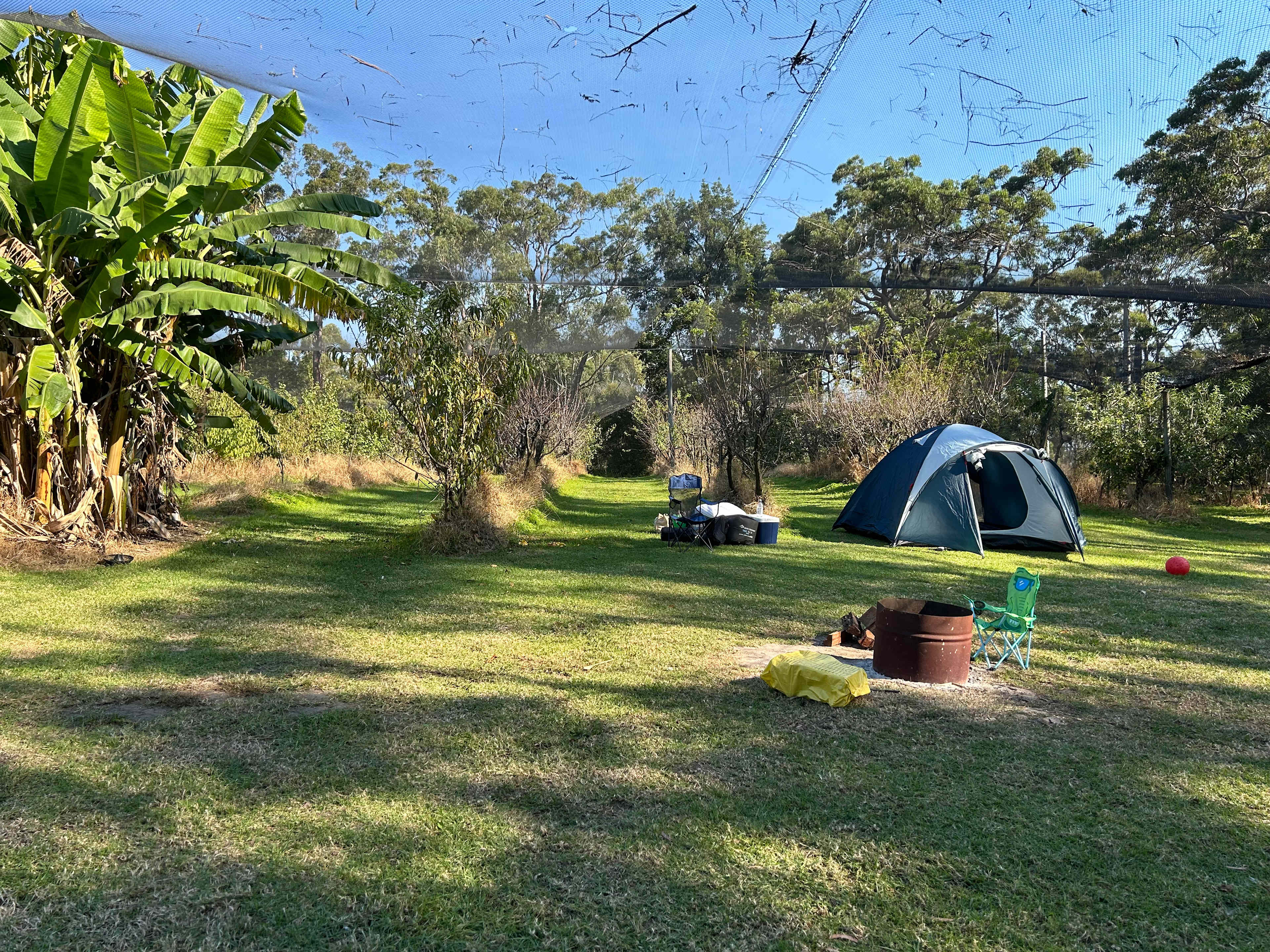 Canoelands Orchard Camping