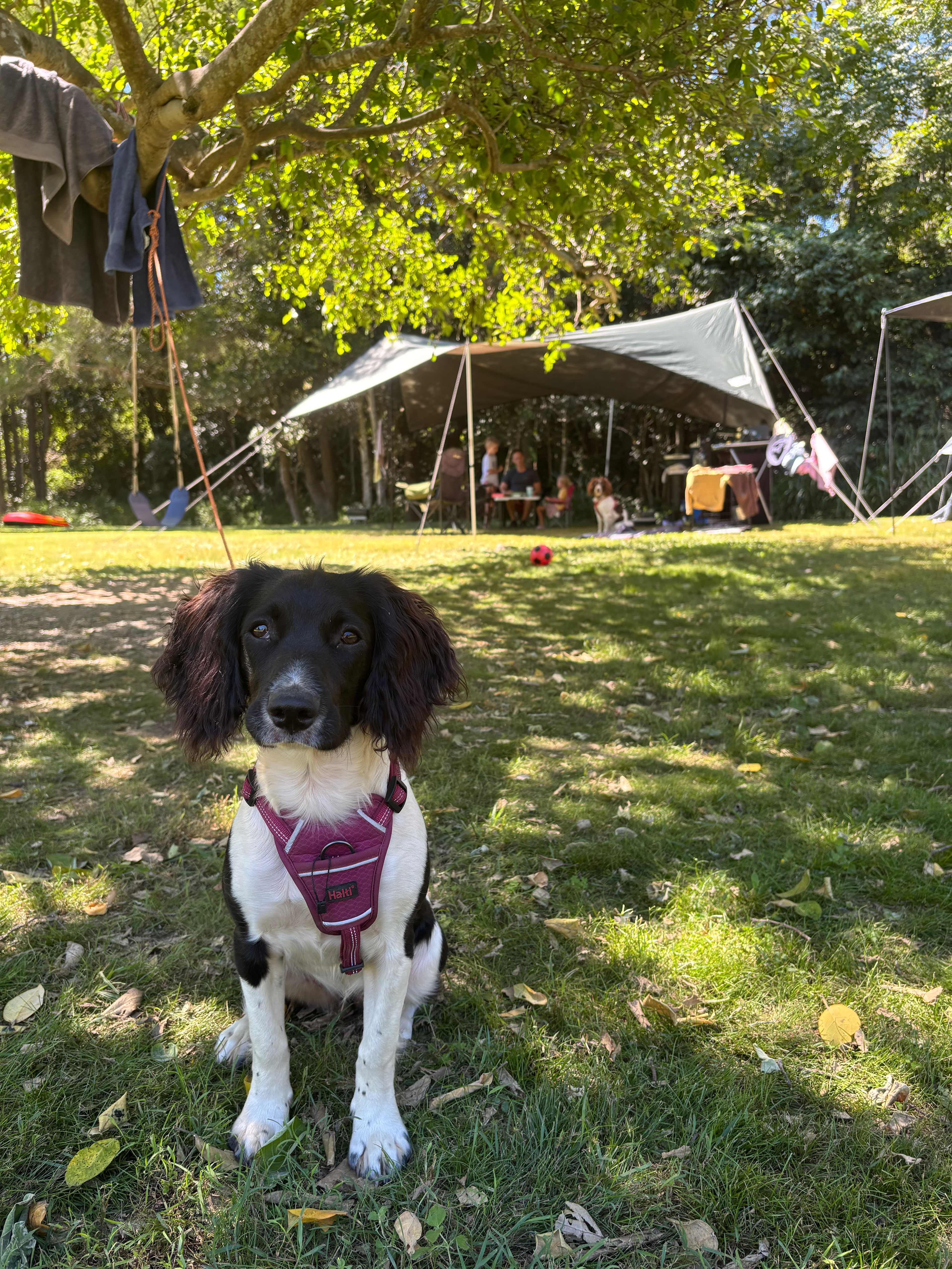 Hopevale Adventure Camping