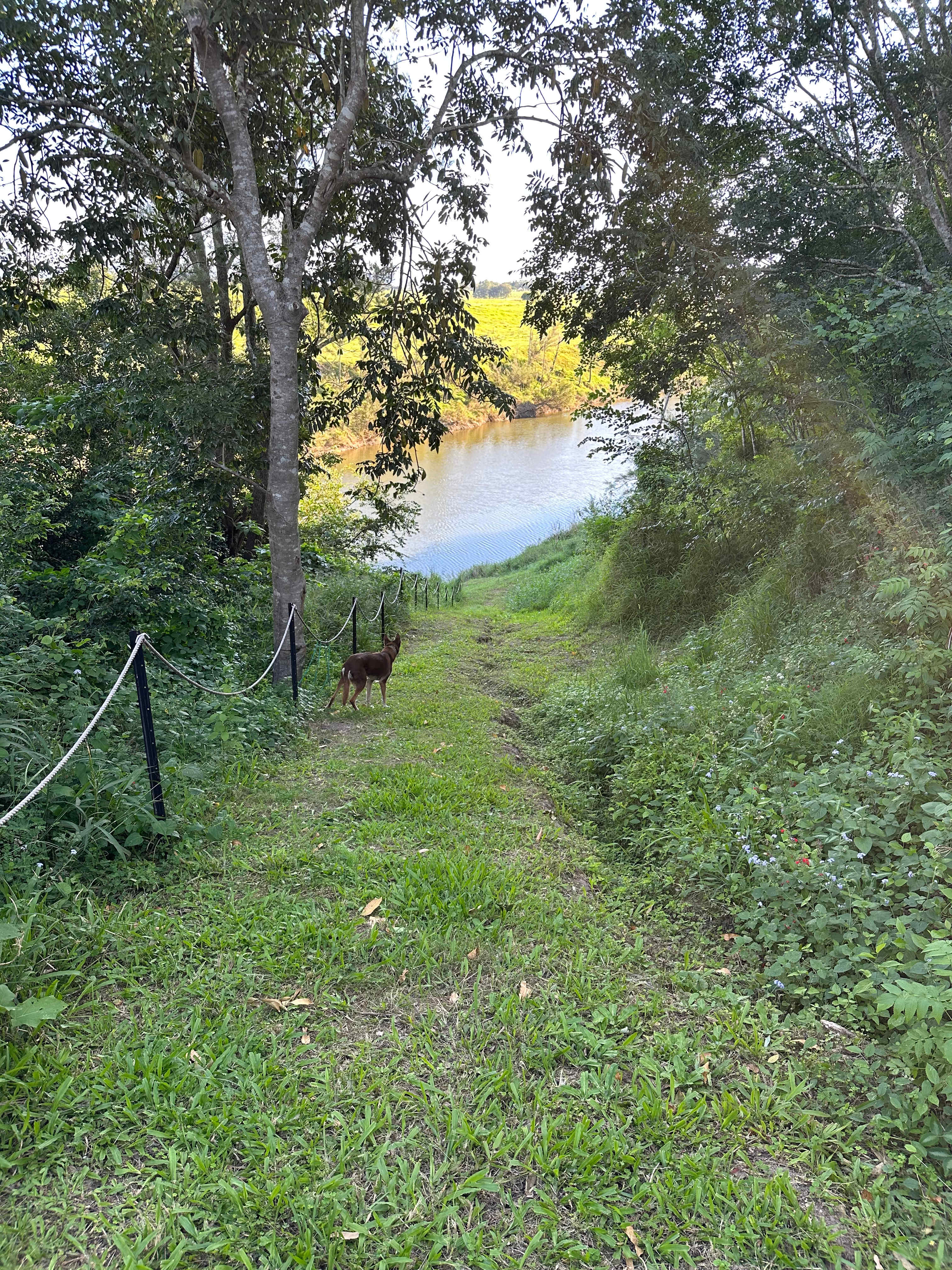 Path to river