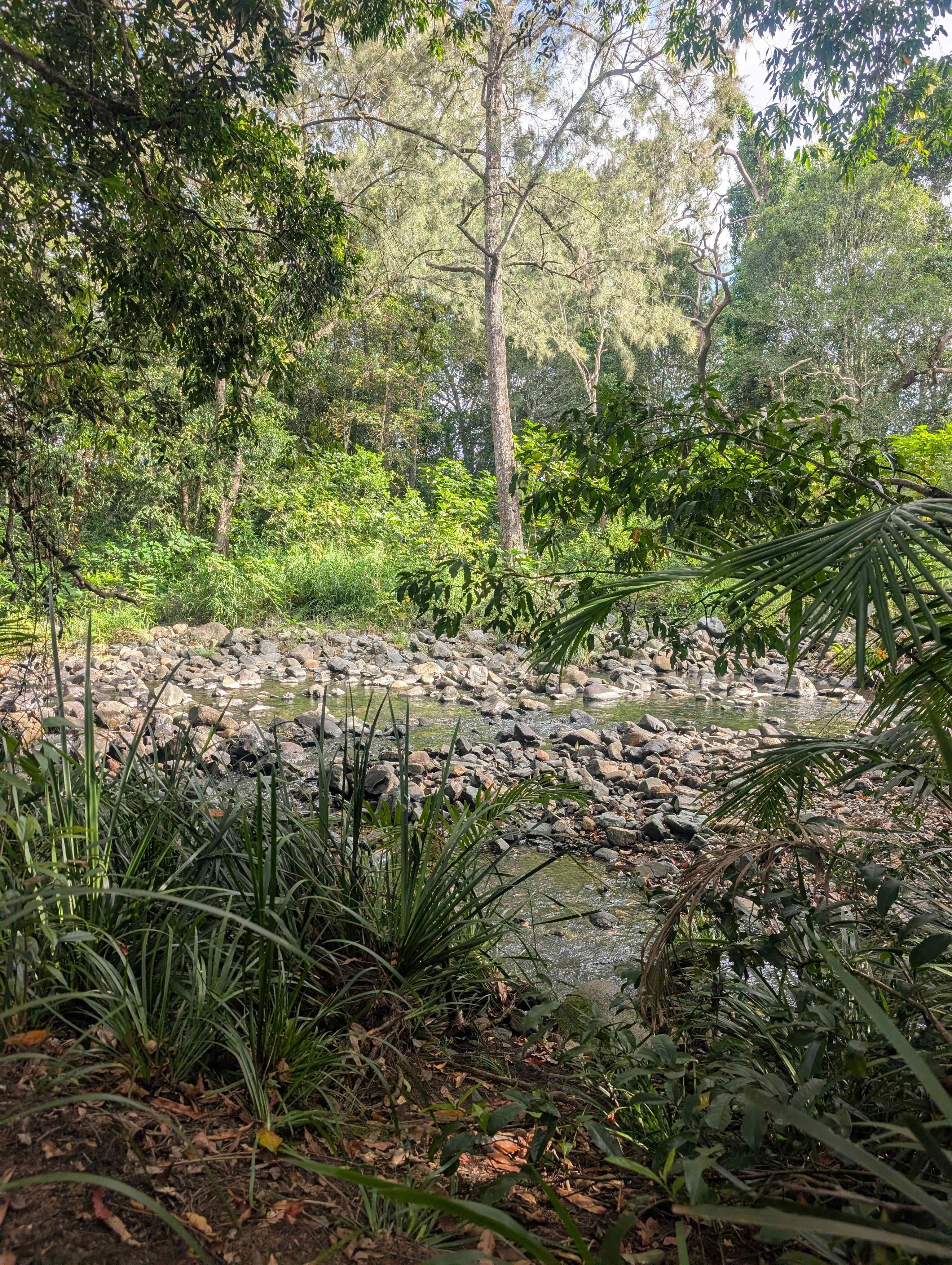 Private Rainforest Creek Camp