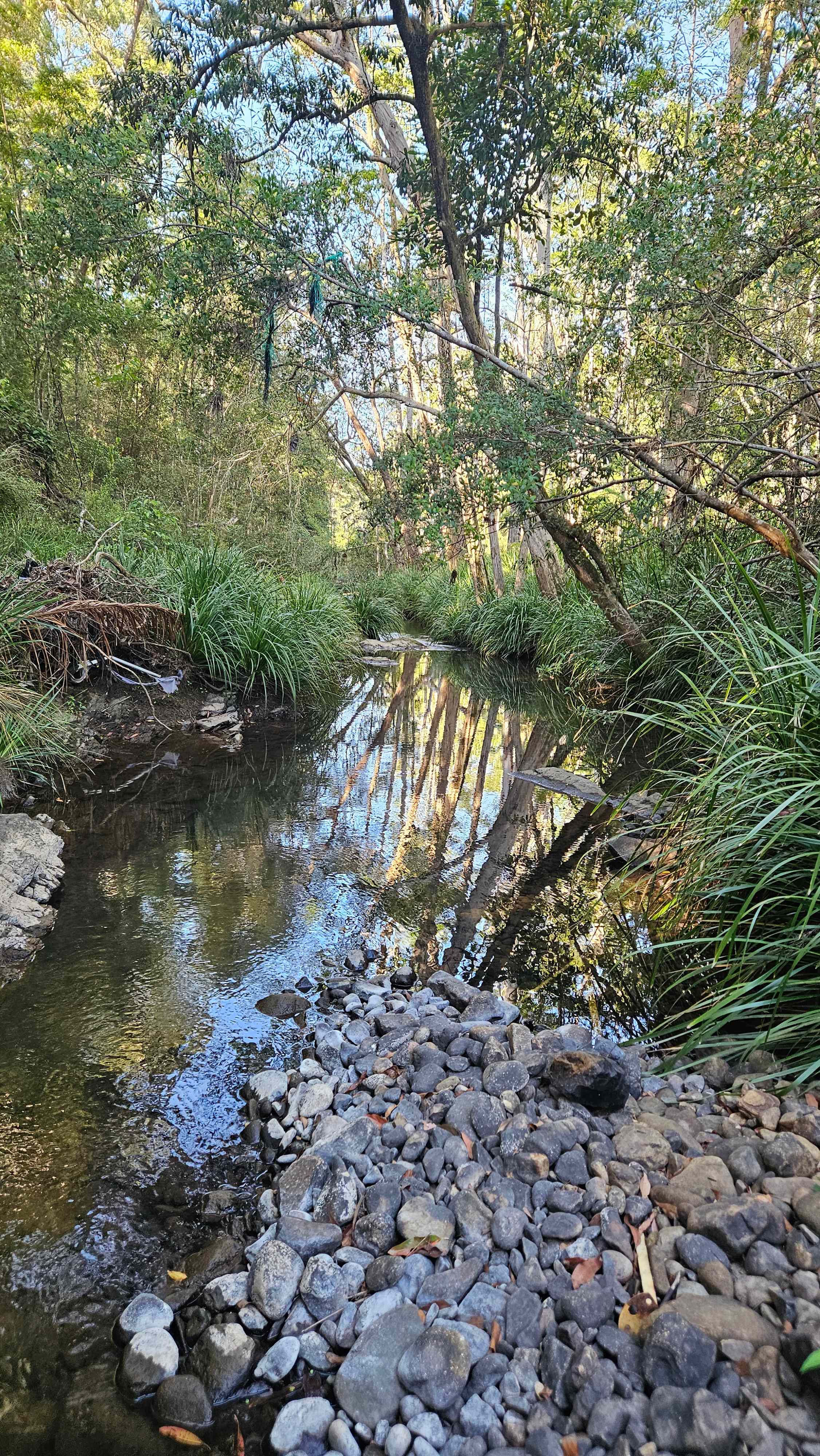 Wongawallan Creek Estate