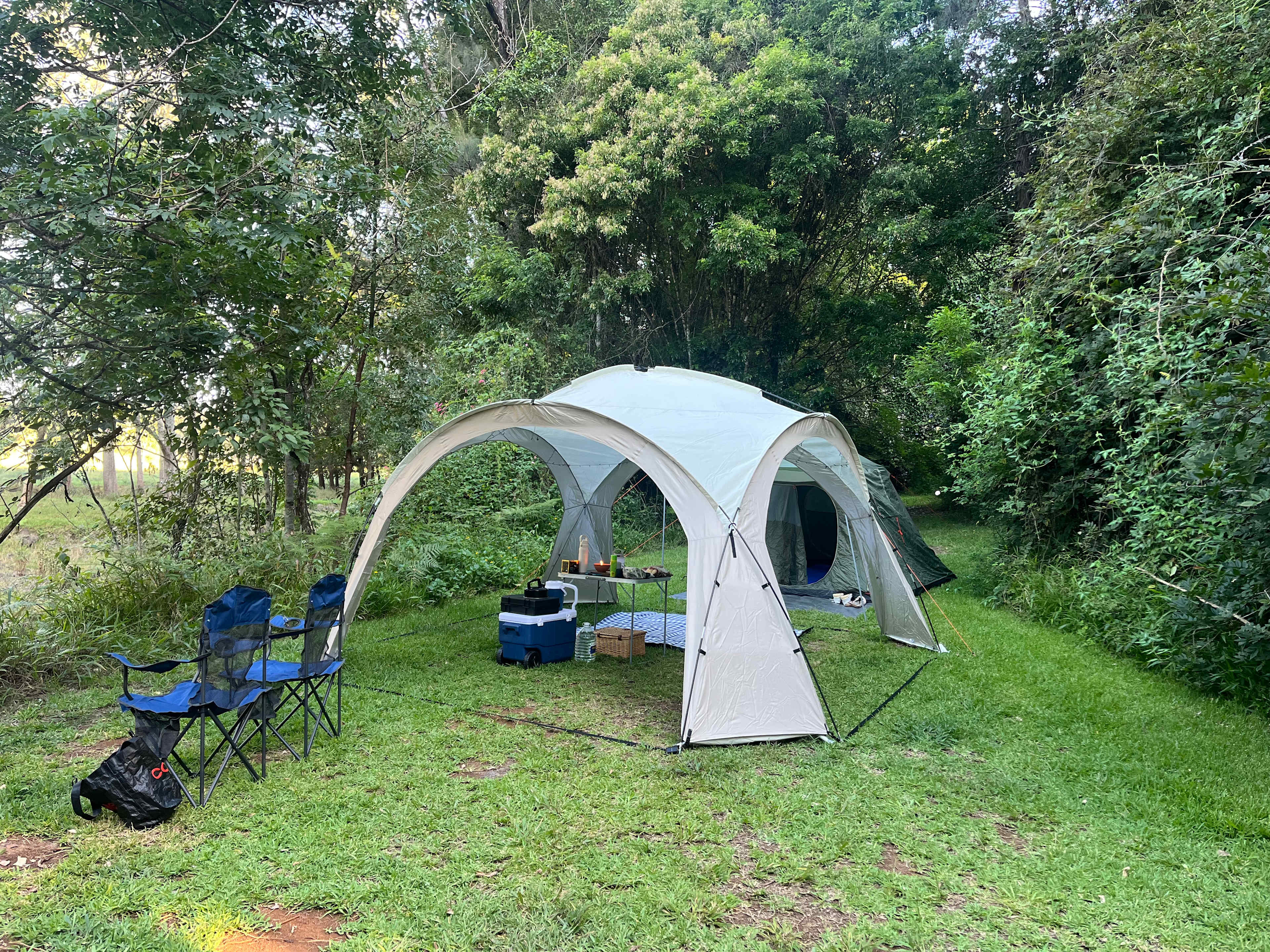 White Wallaby Farm