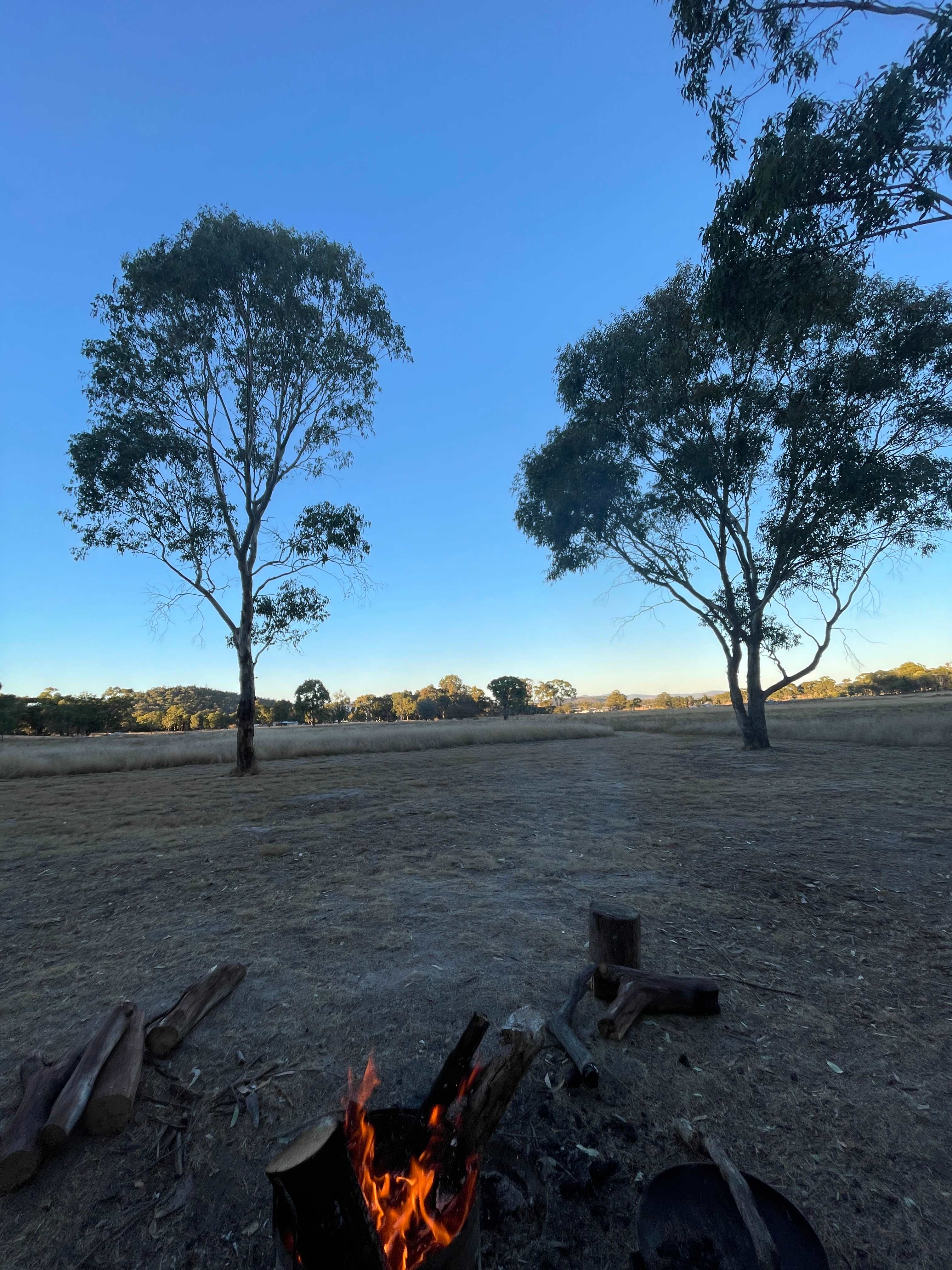 Site 4 In The Trees (view to South West)