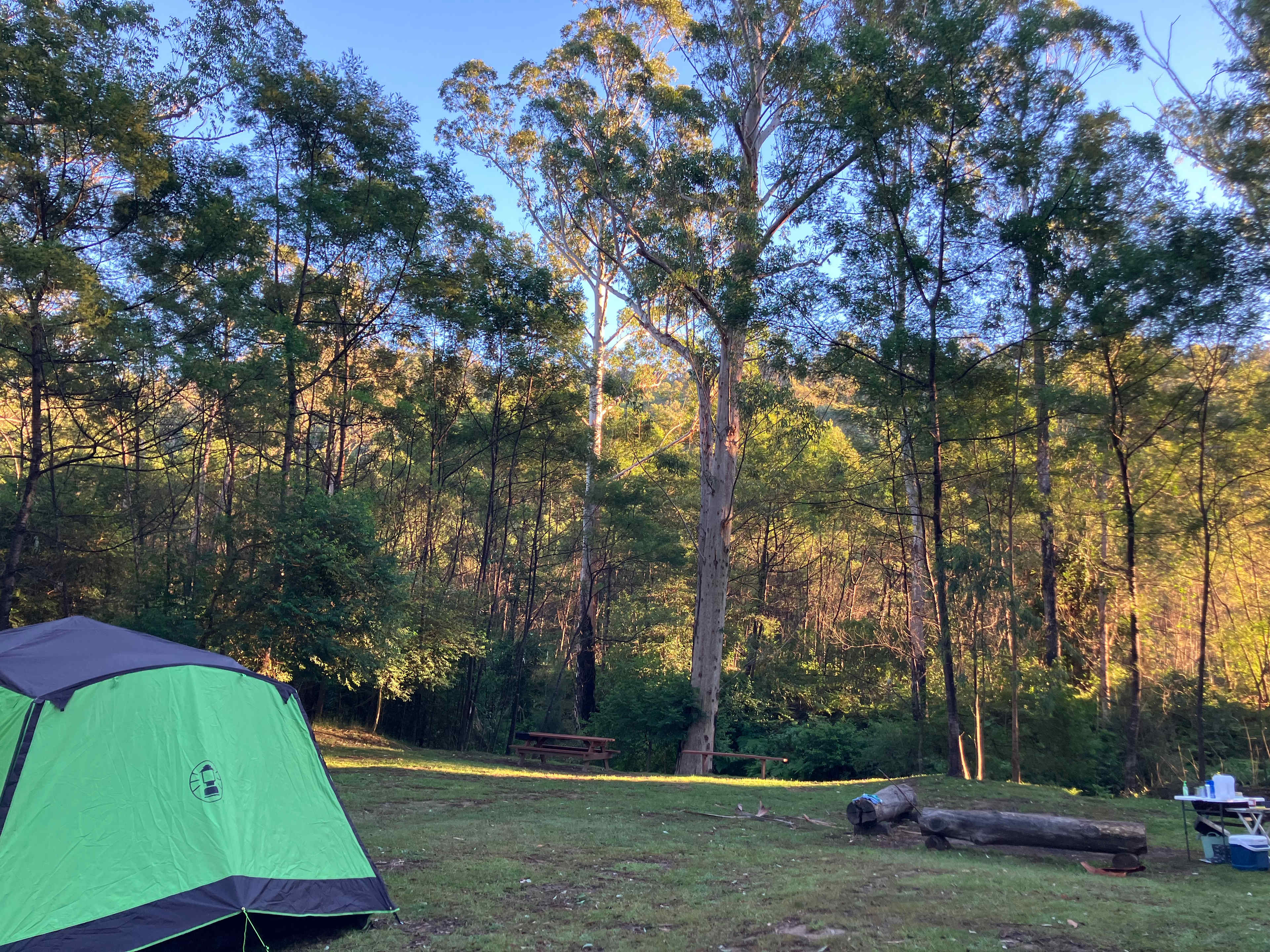 Wombat Hollow
