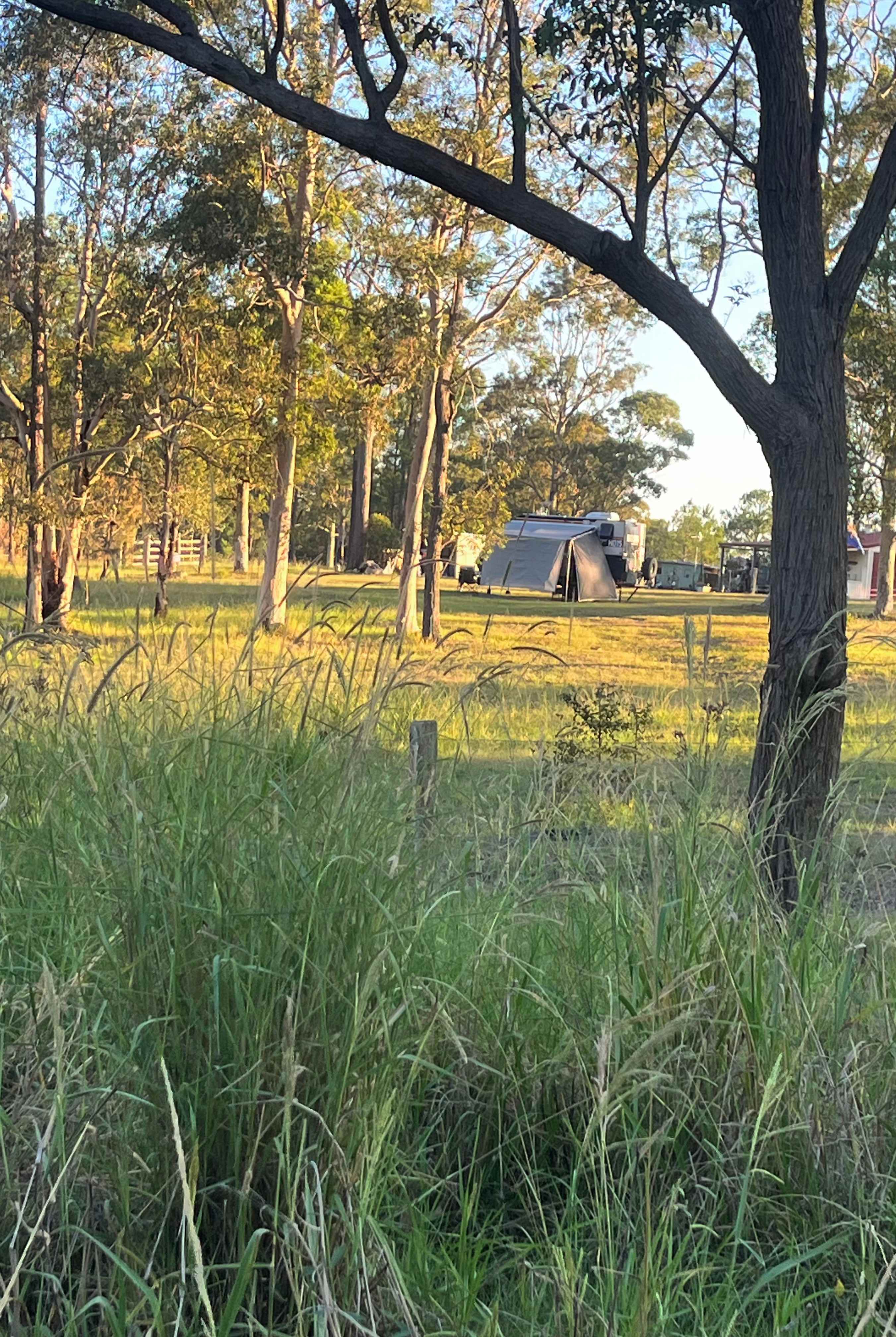 Camp site