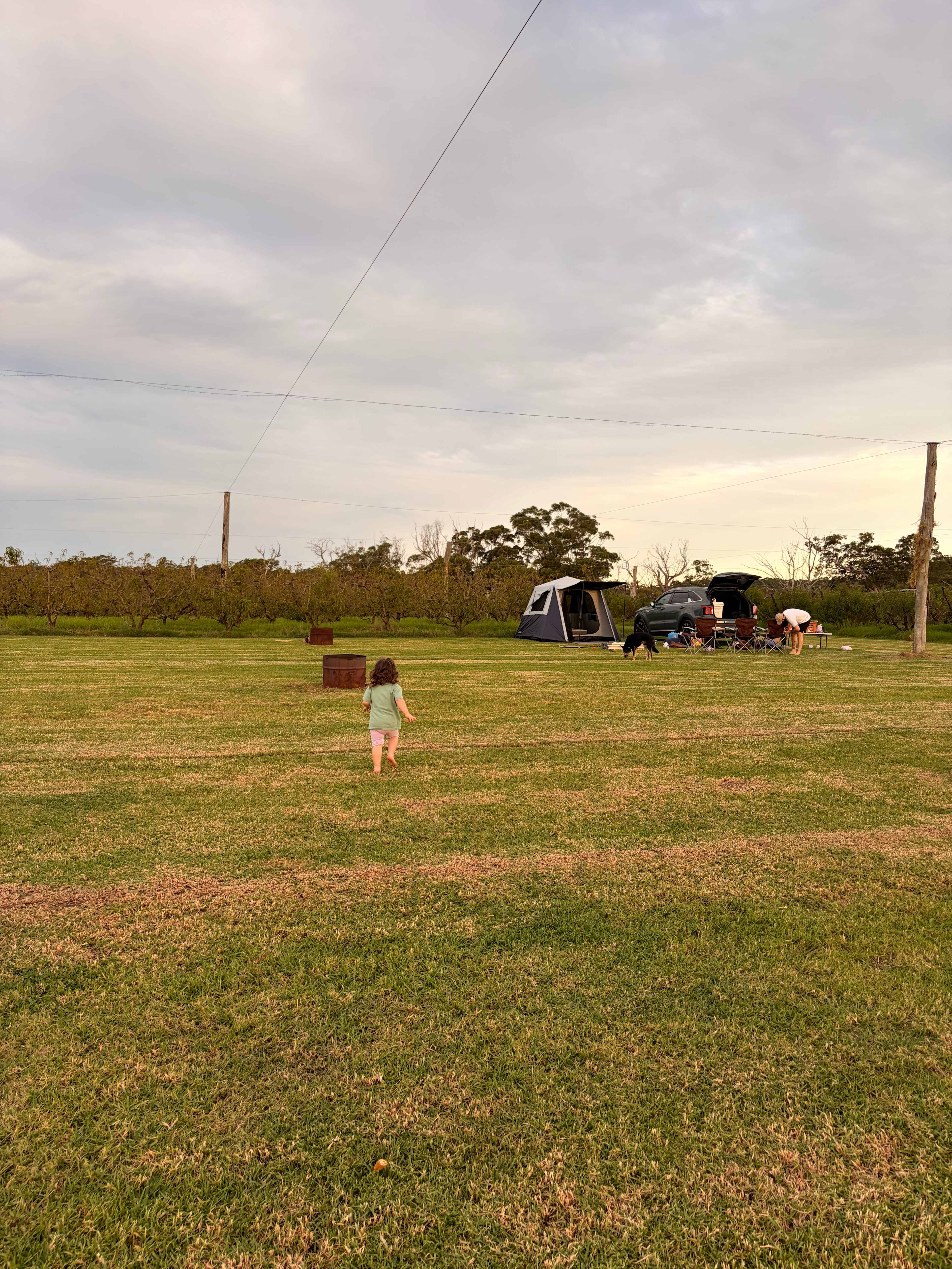 Canoelands Orchard Camping