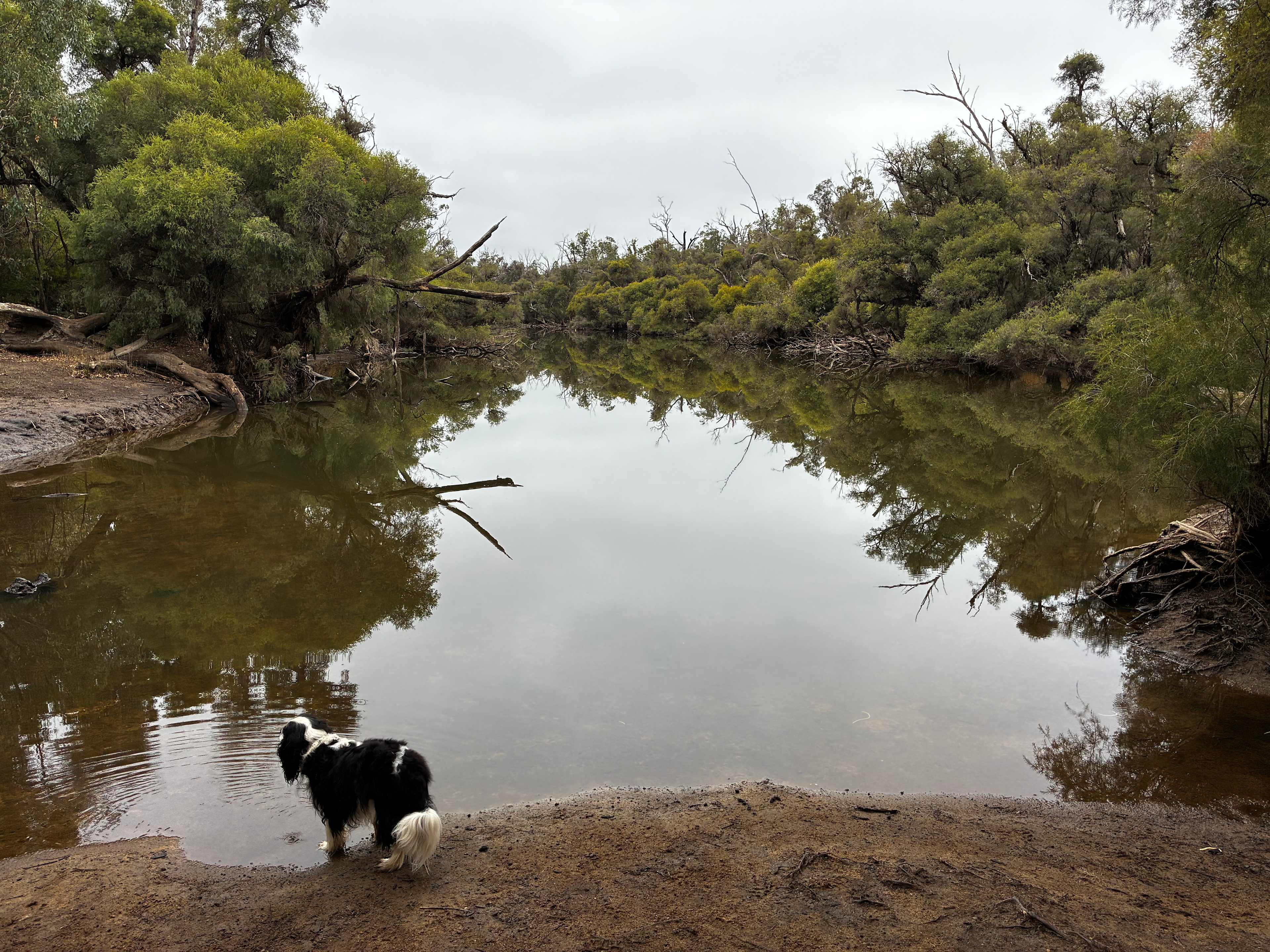 Murray Valley Camping