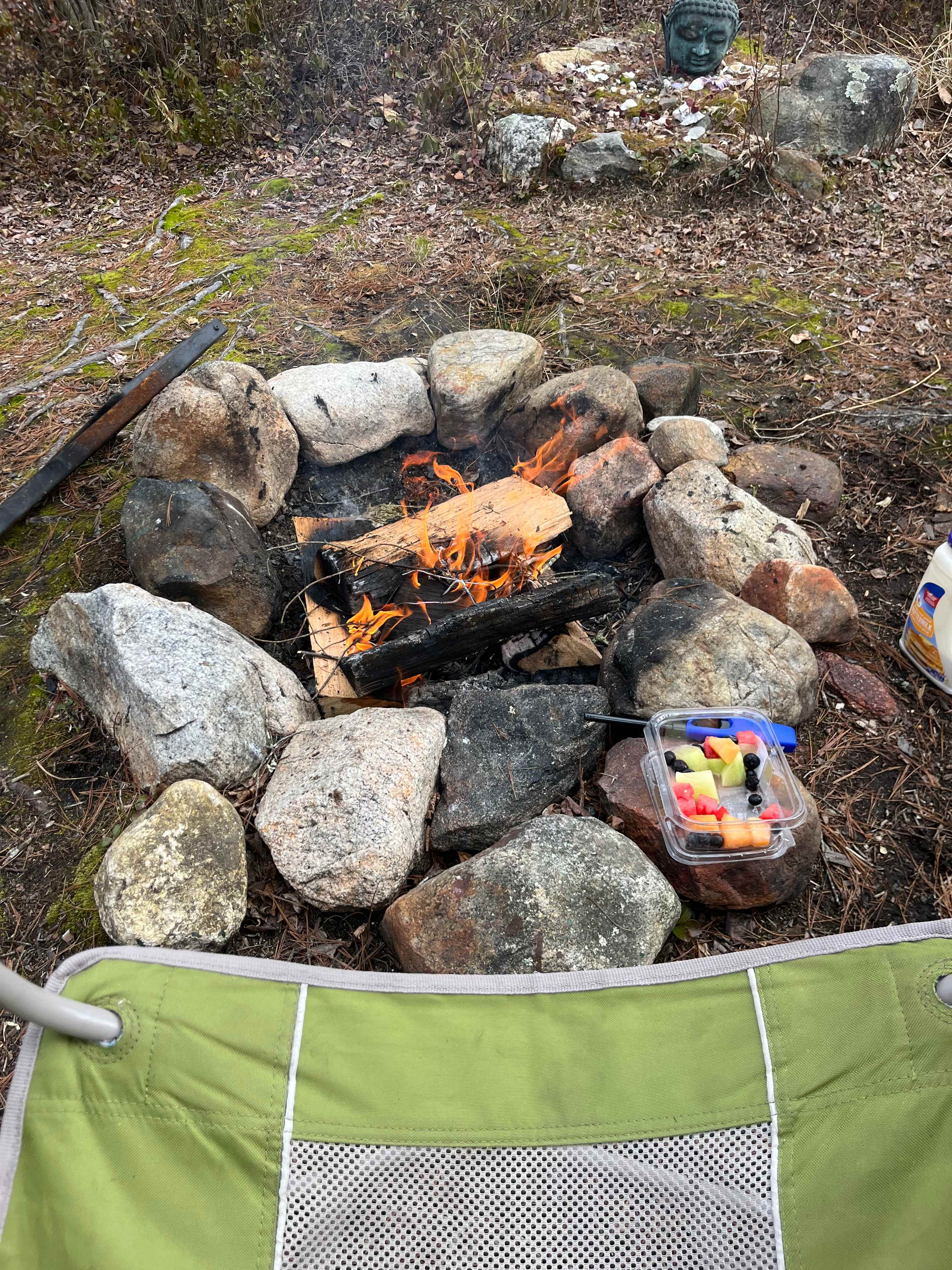 Salamander Hollow Healing Habitat