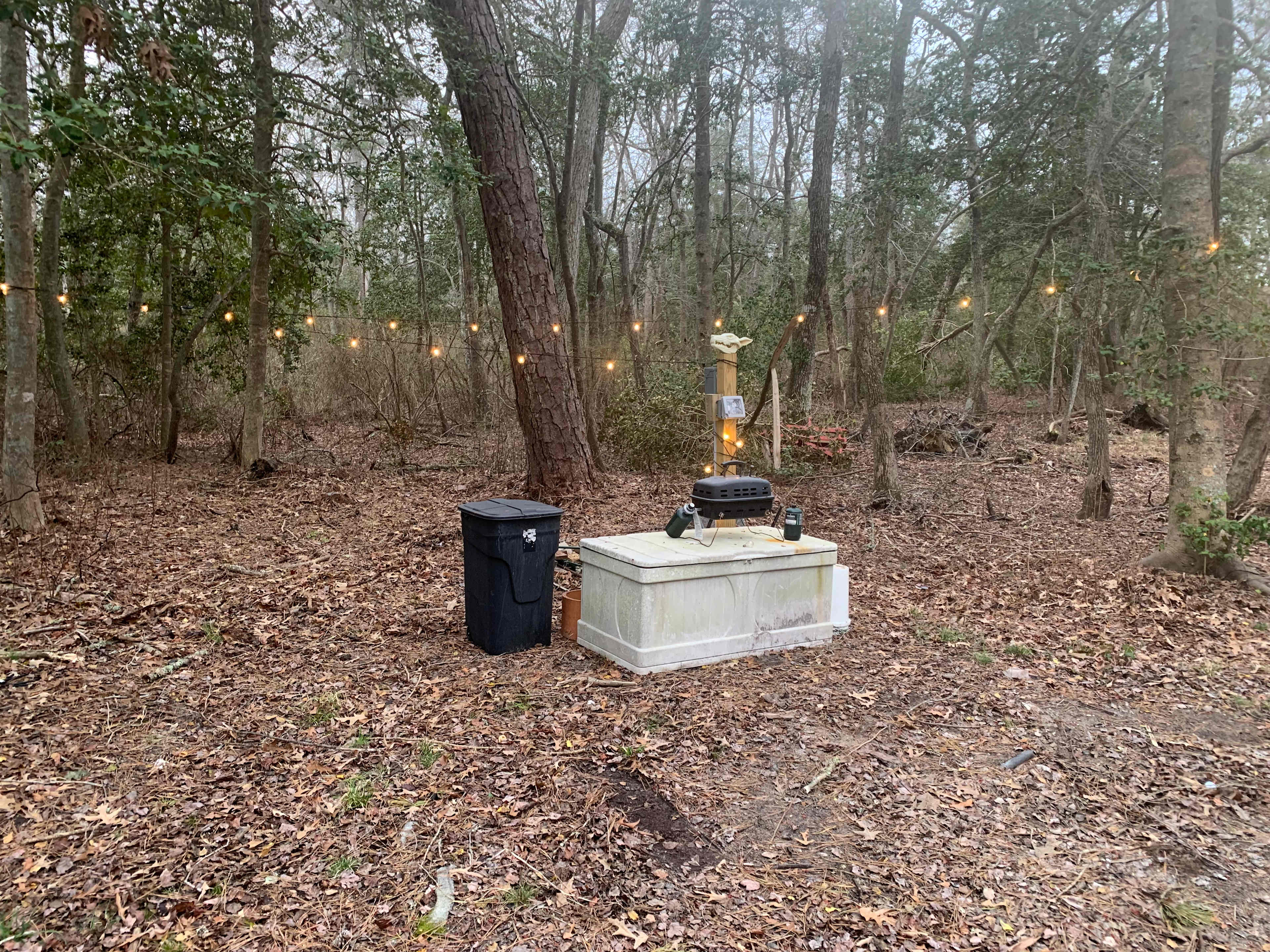 Picture of the site