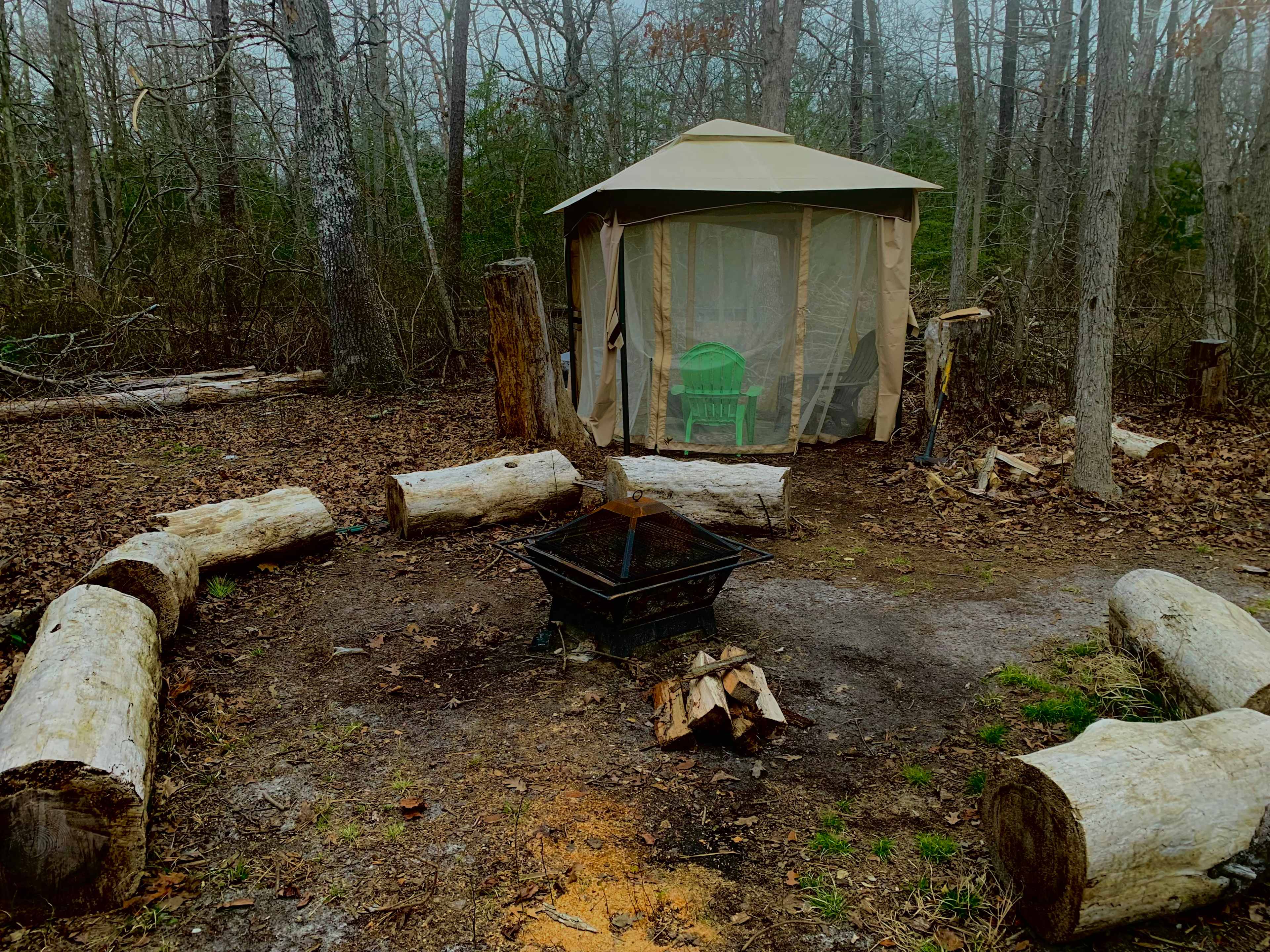 Picture of the site