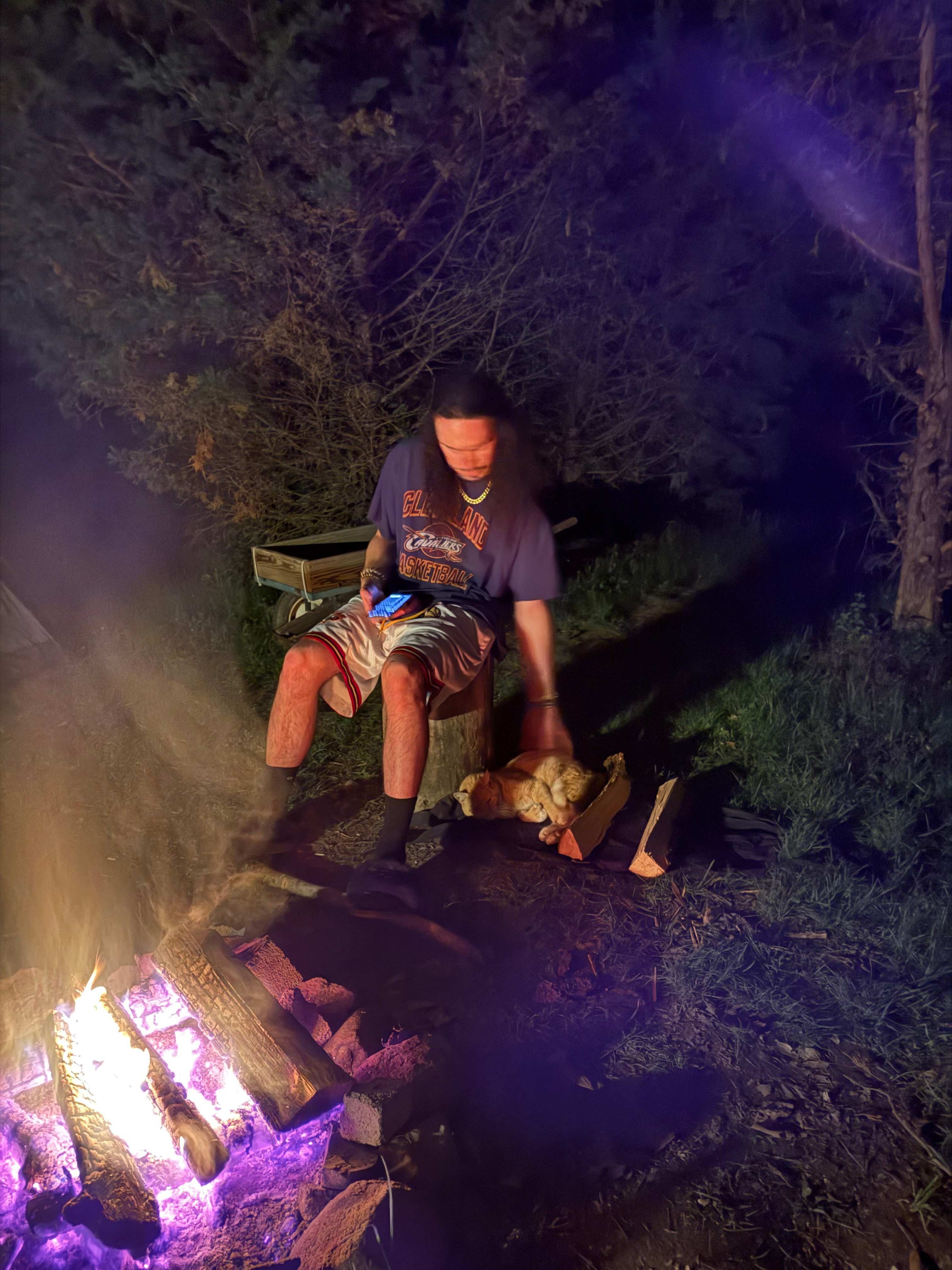camp cat friend 