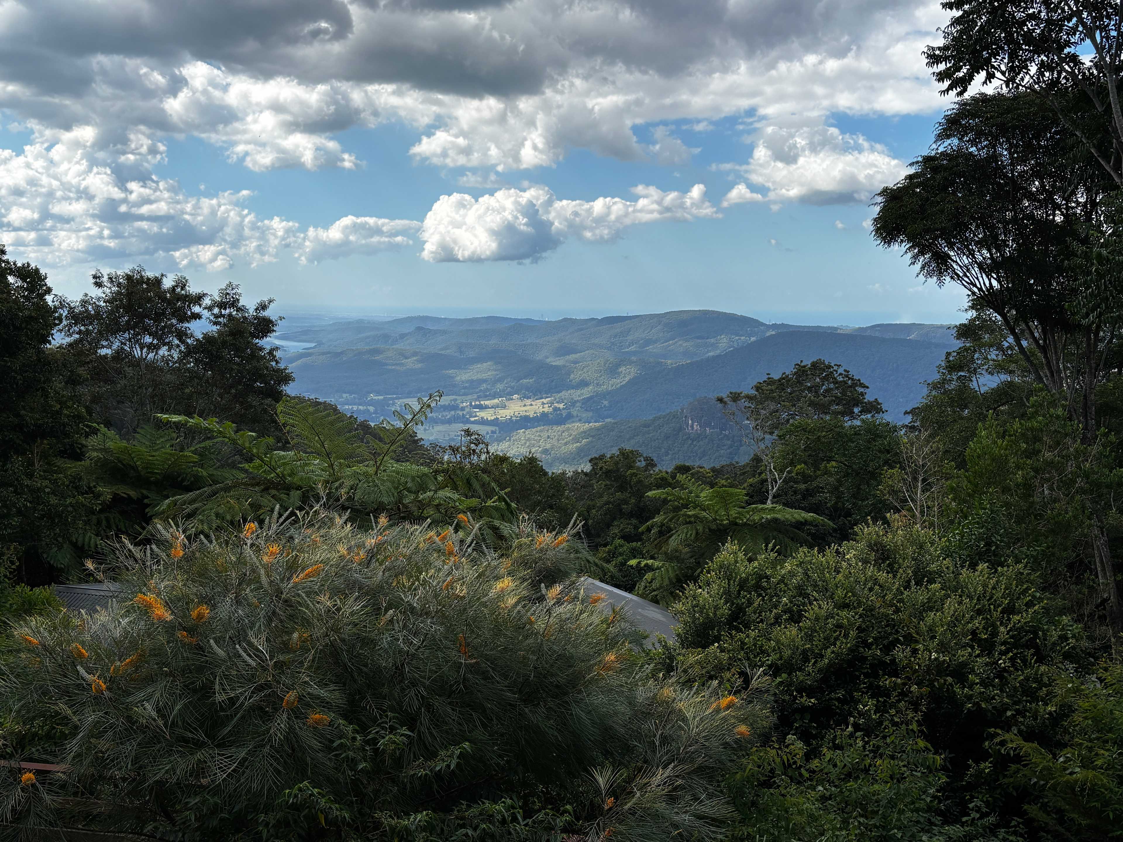 Binna Burra Lodge