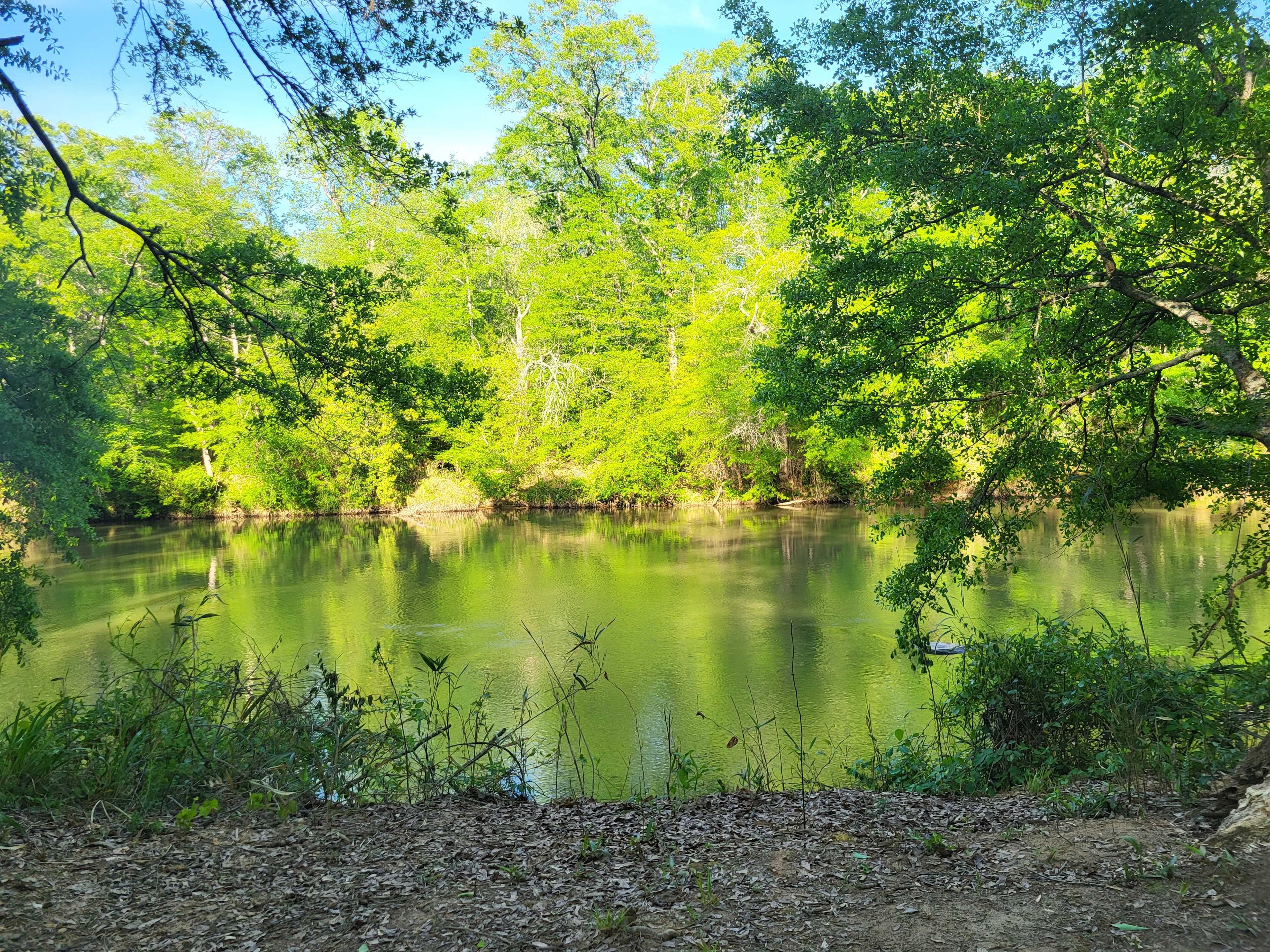 Serenity on the Saluda