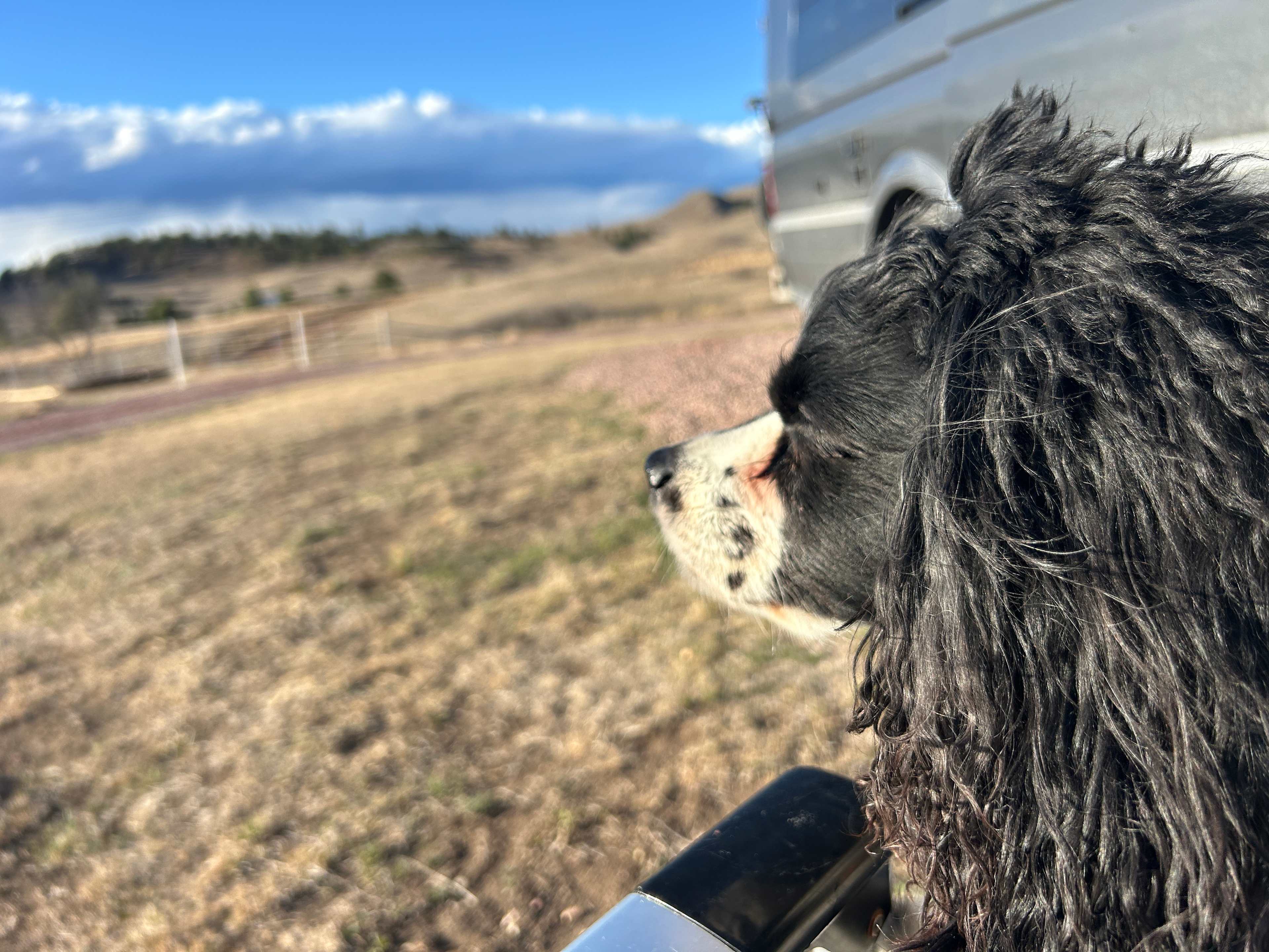 Stagecoach Stays