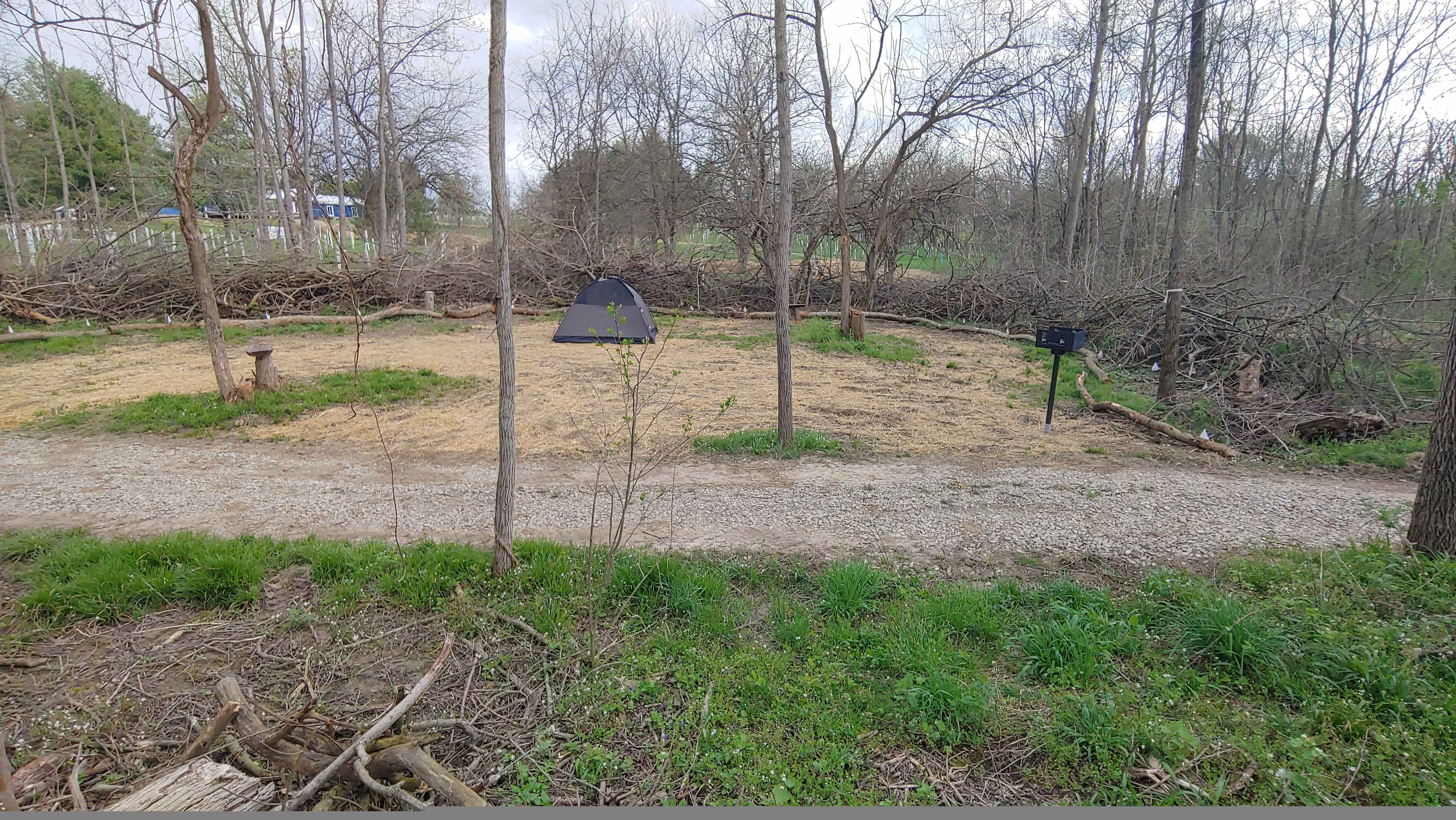 Picture of the site