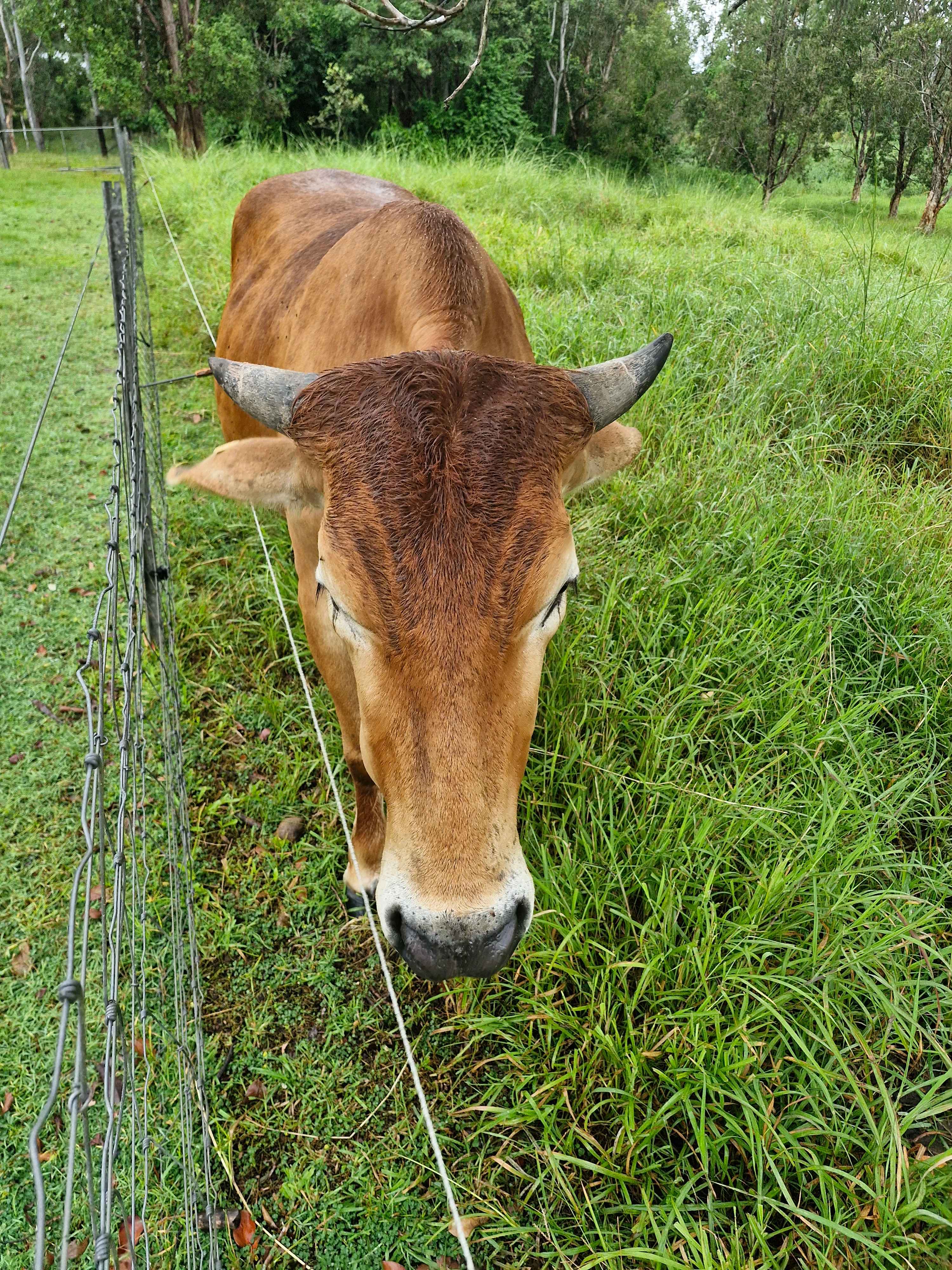 Jarravale Farm Stay