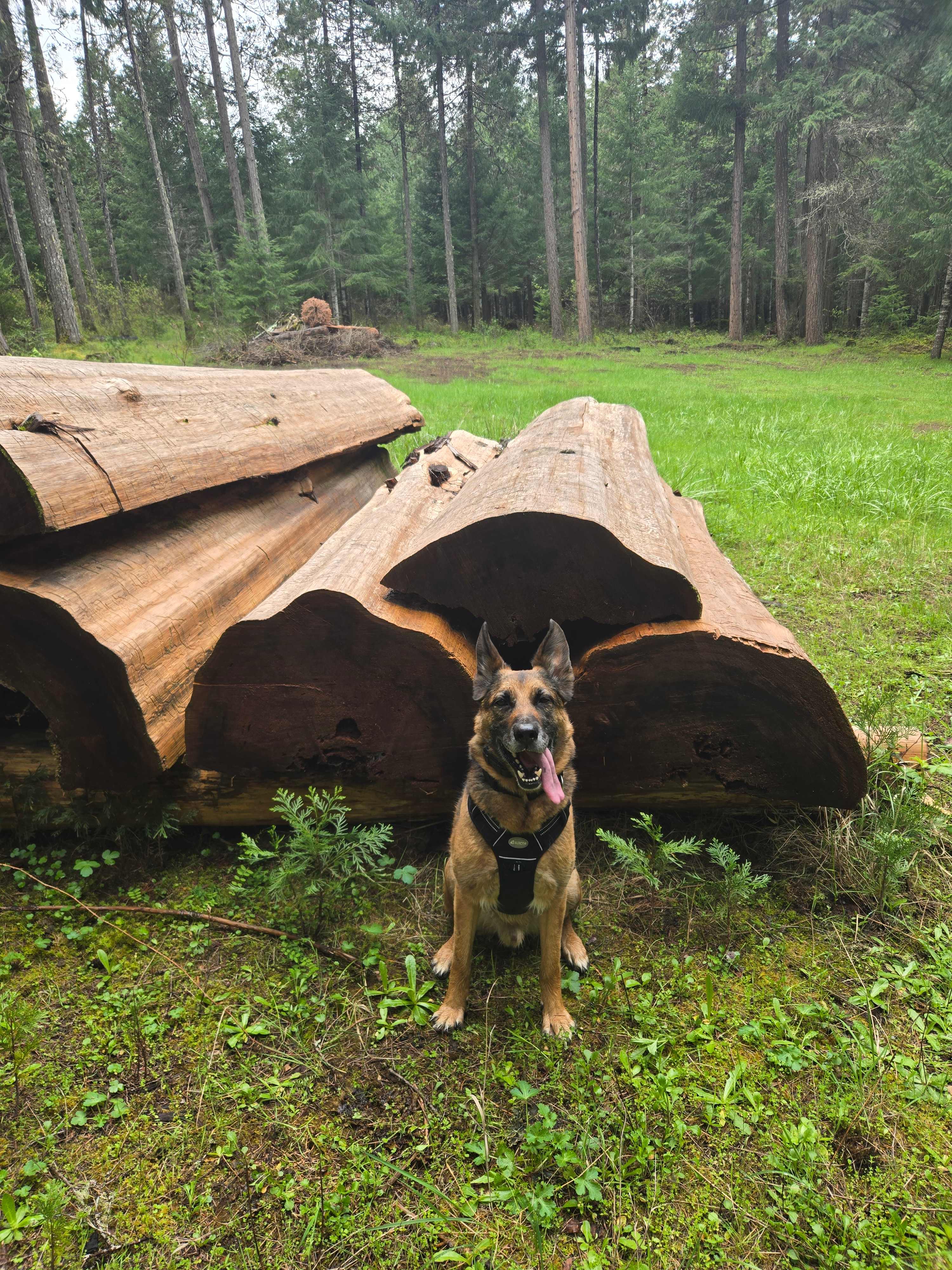 Ruby’s Cabin