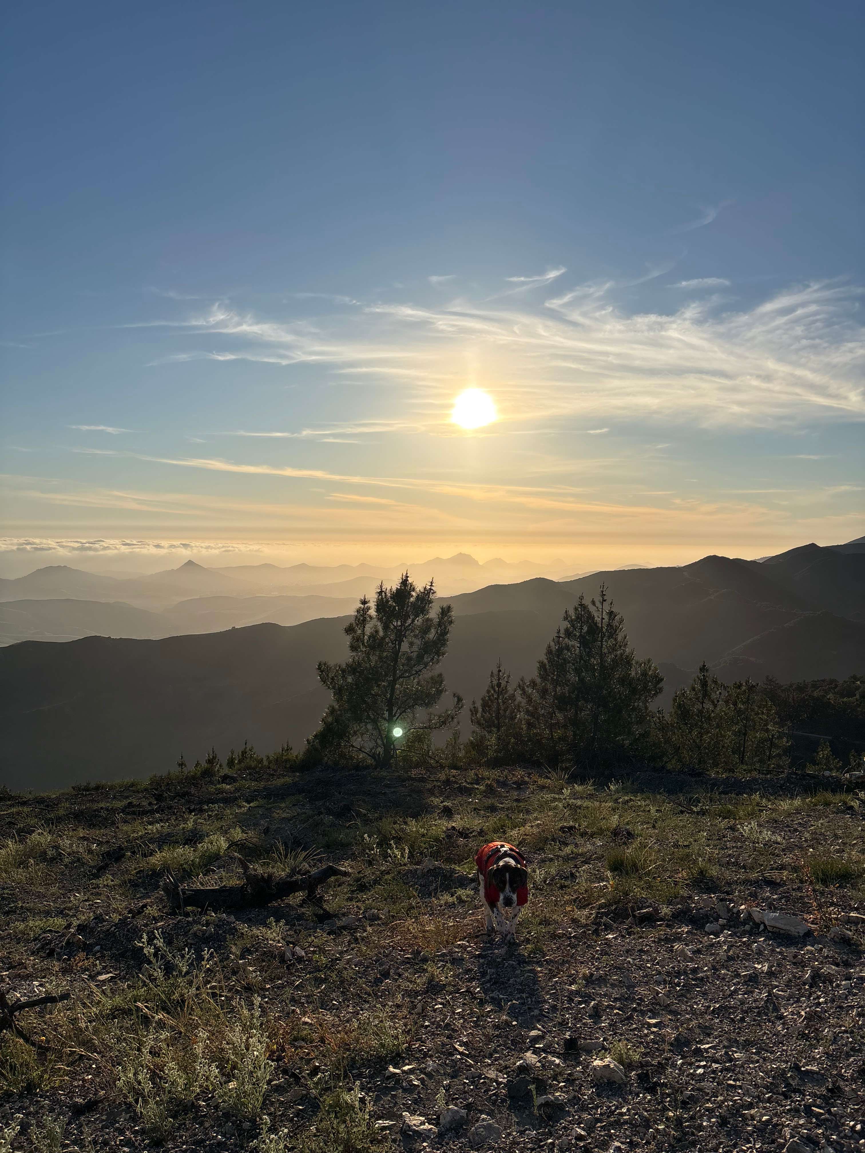 Mt Rancho (FKA La Montaña Ranch)