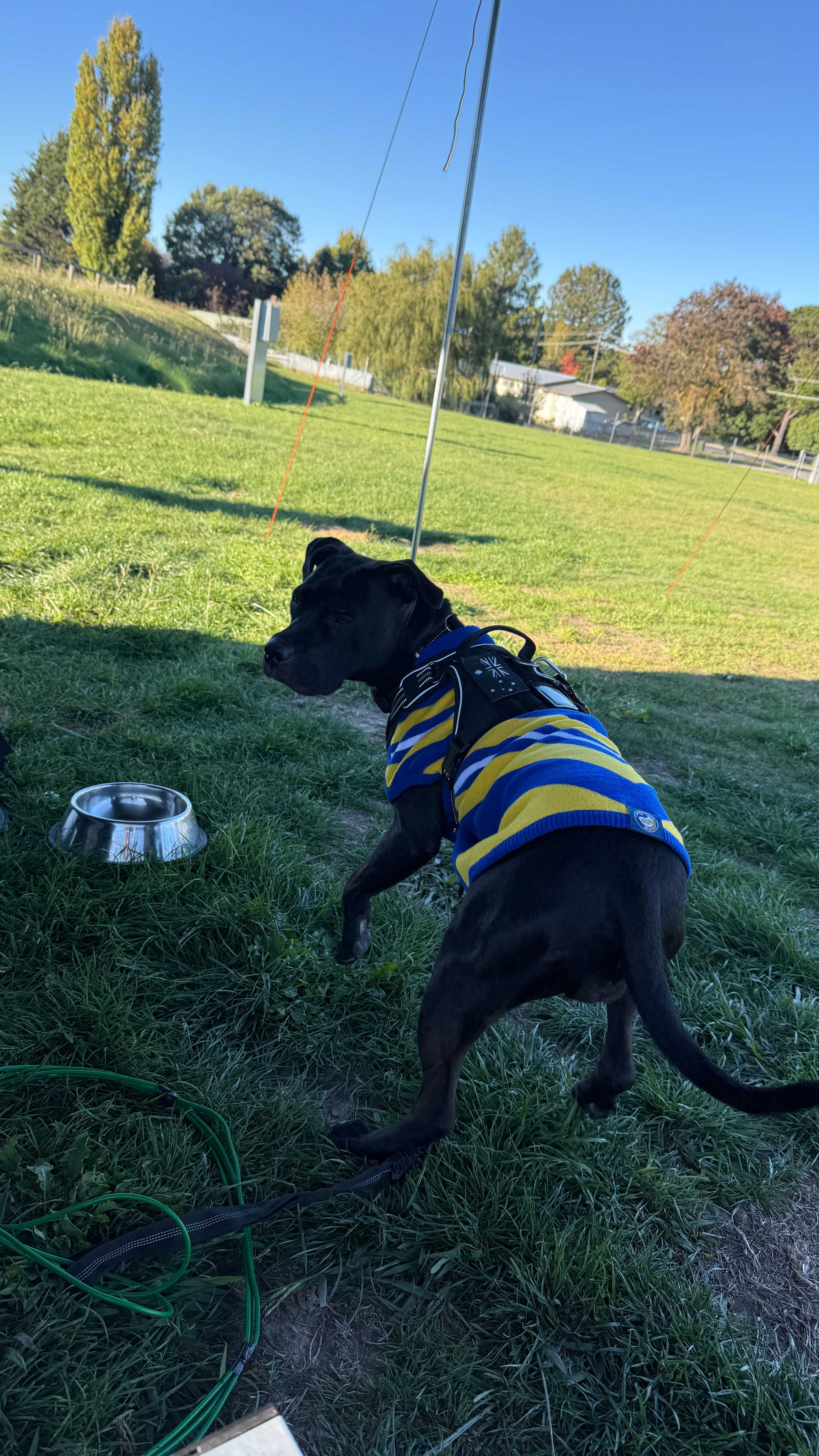 Oberon Showground