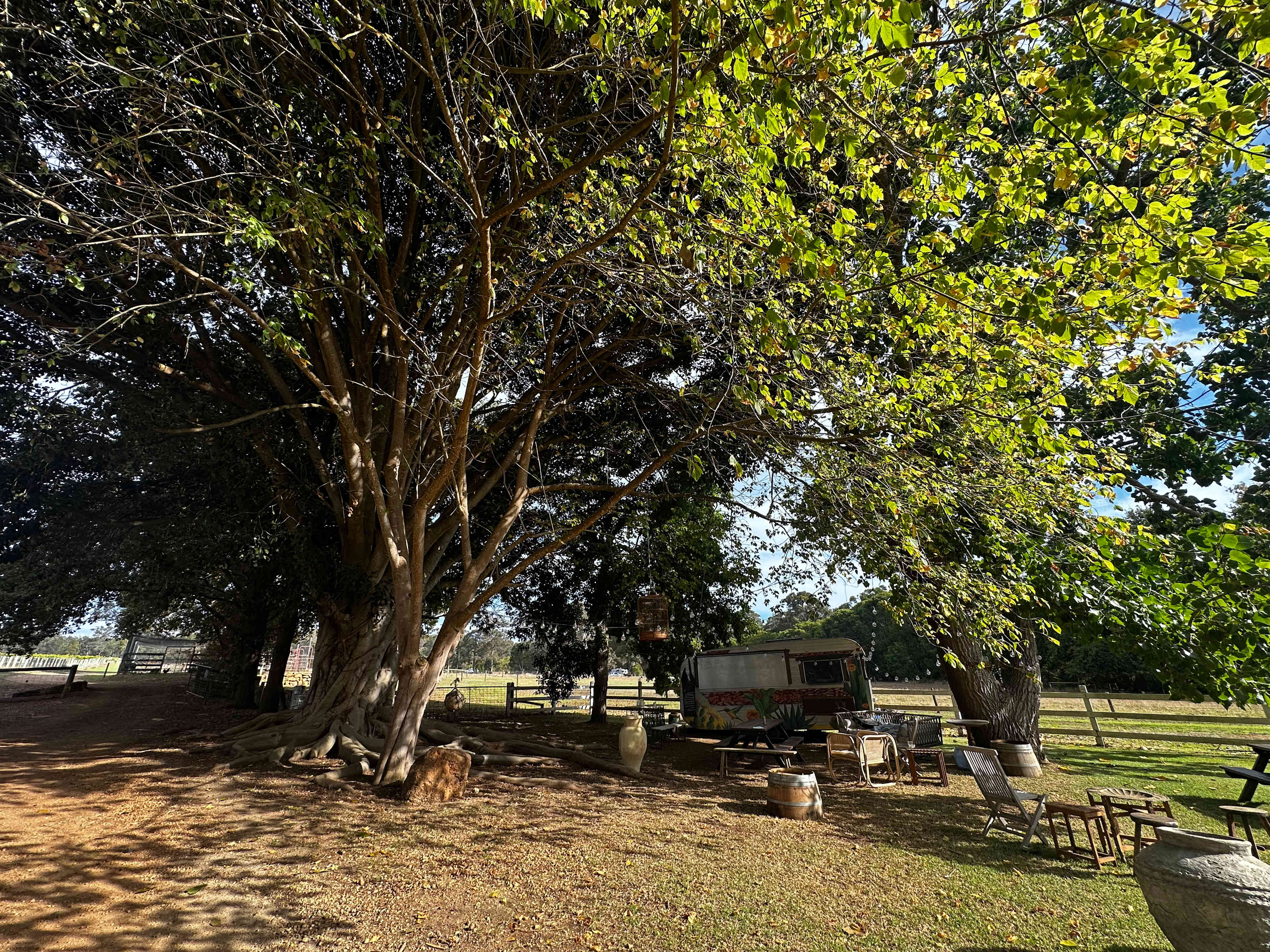 Margaret River - Rosa Glen Farm