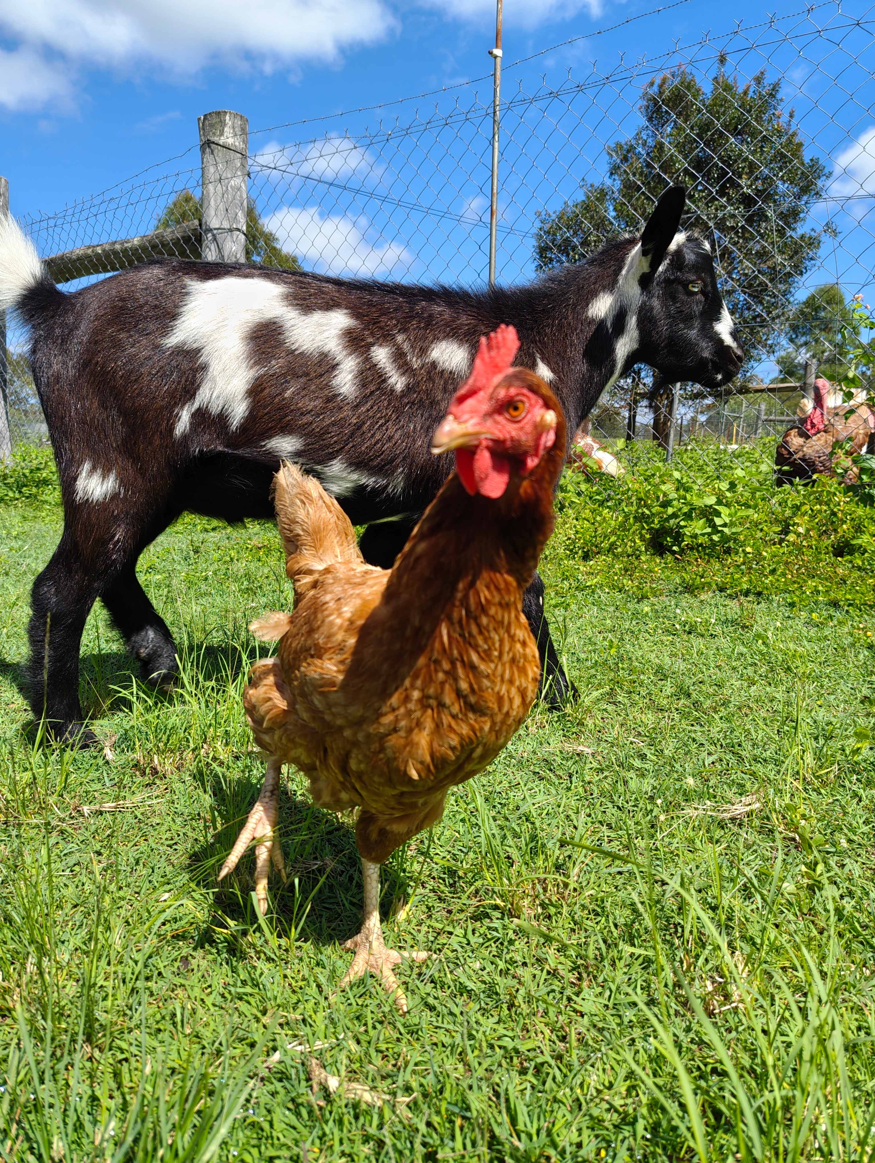 River Run Farm Camping