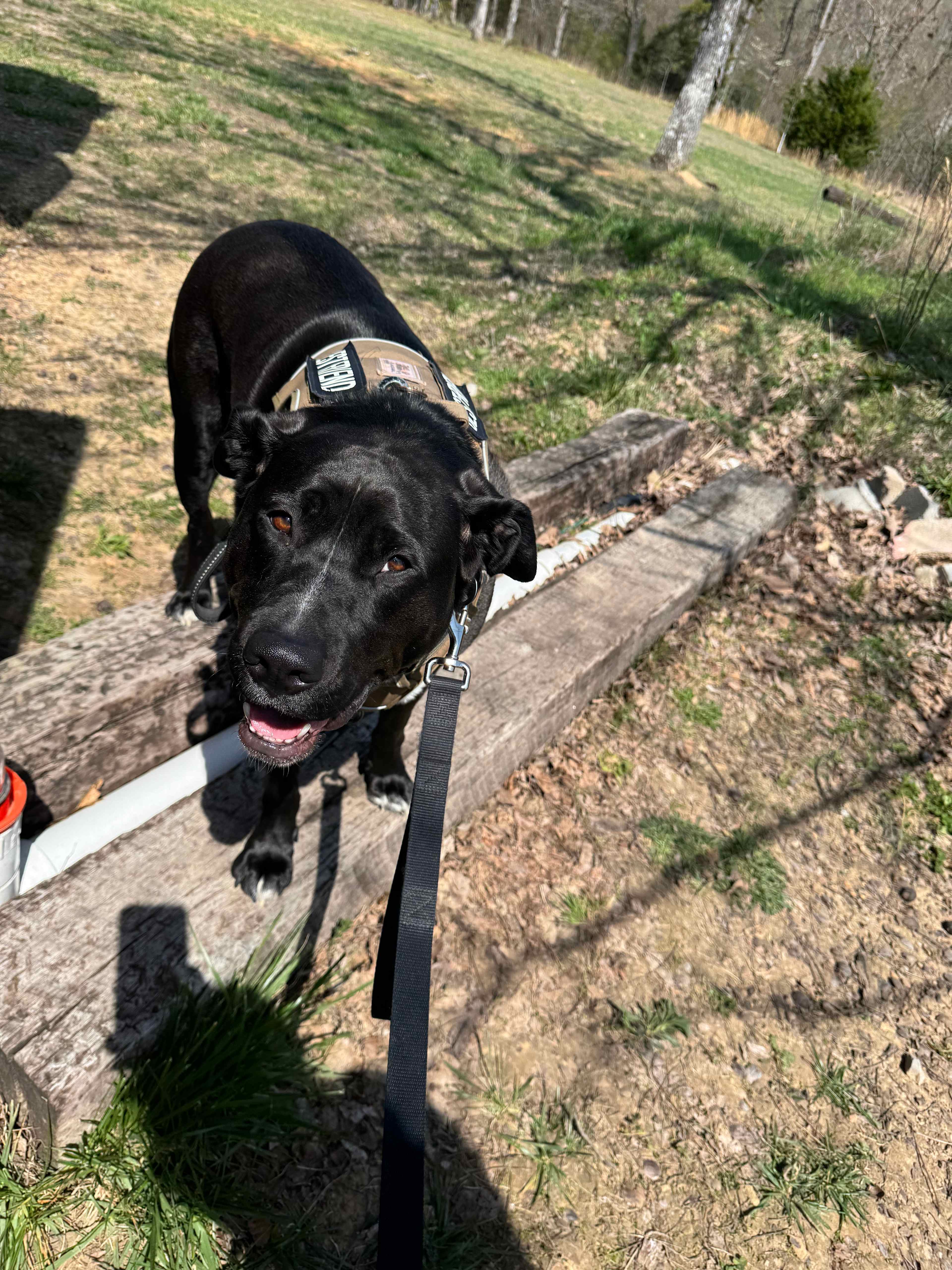 Jake exploring the grounds