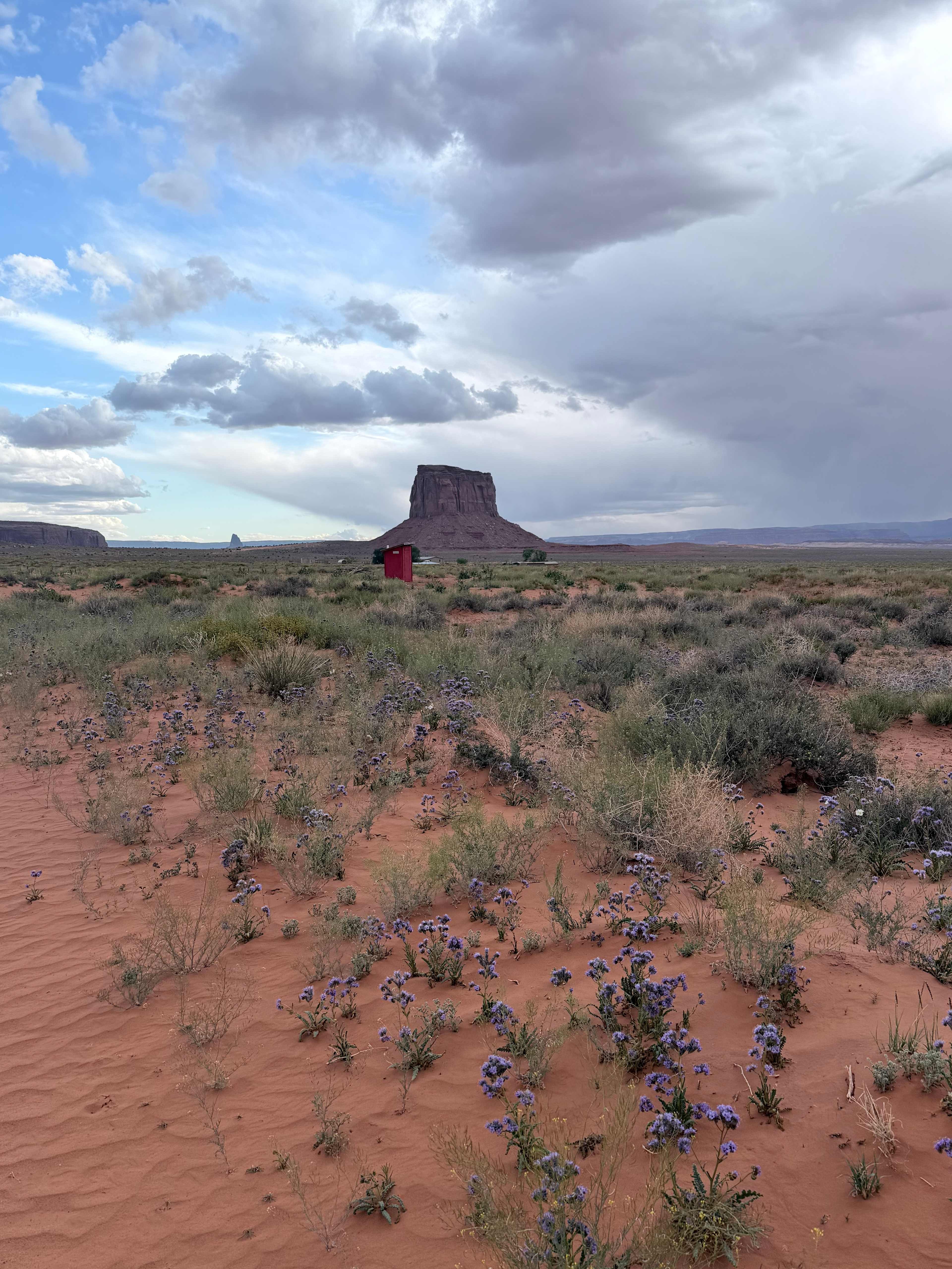view to the sw from west of campsite 6
