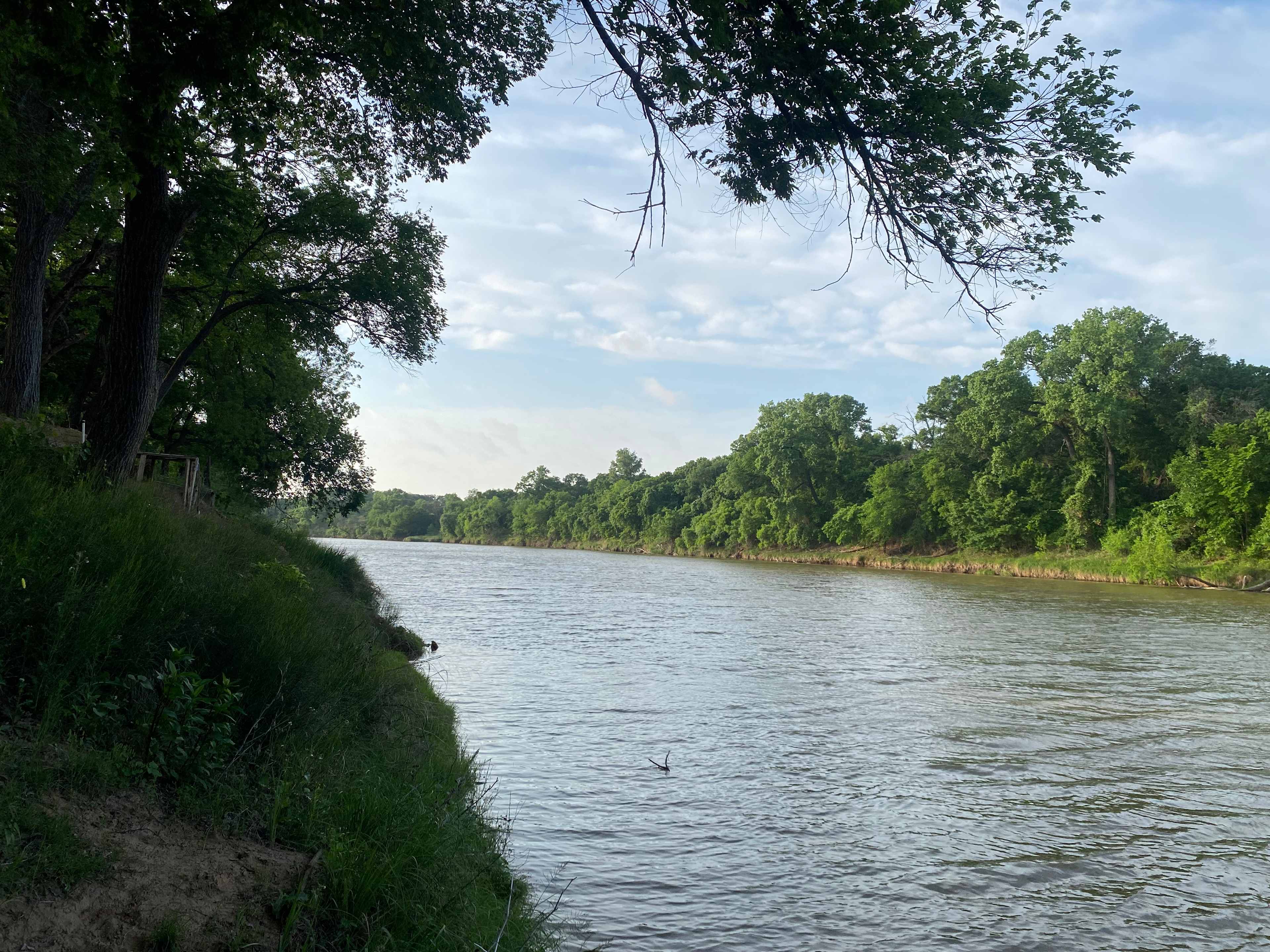 The river at about 8:00am