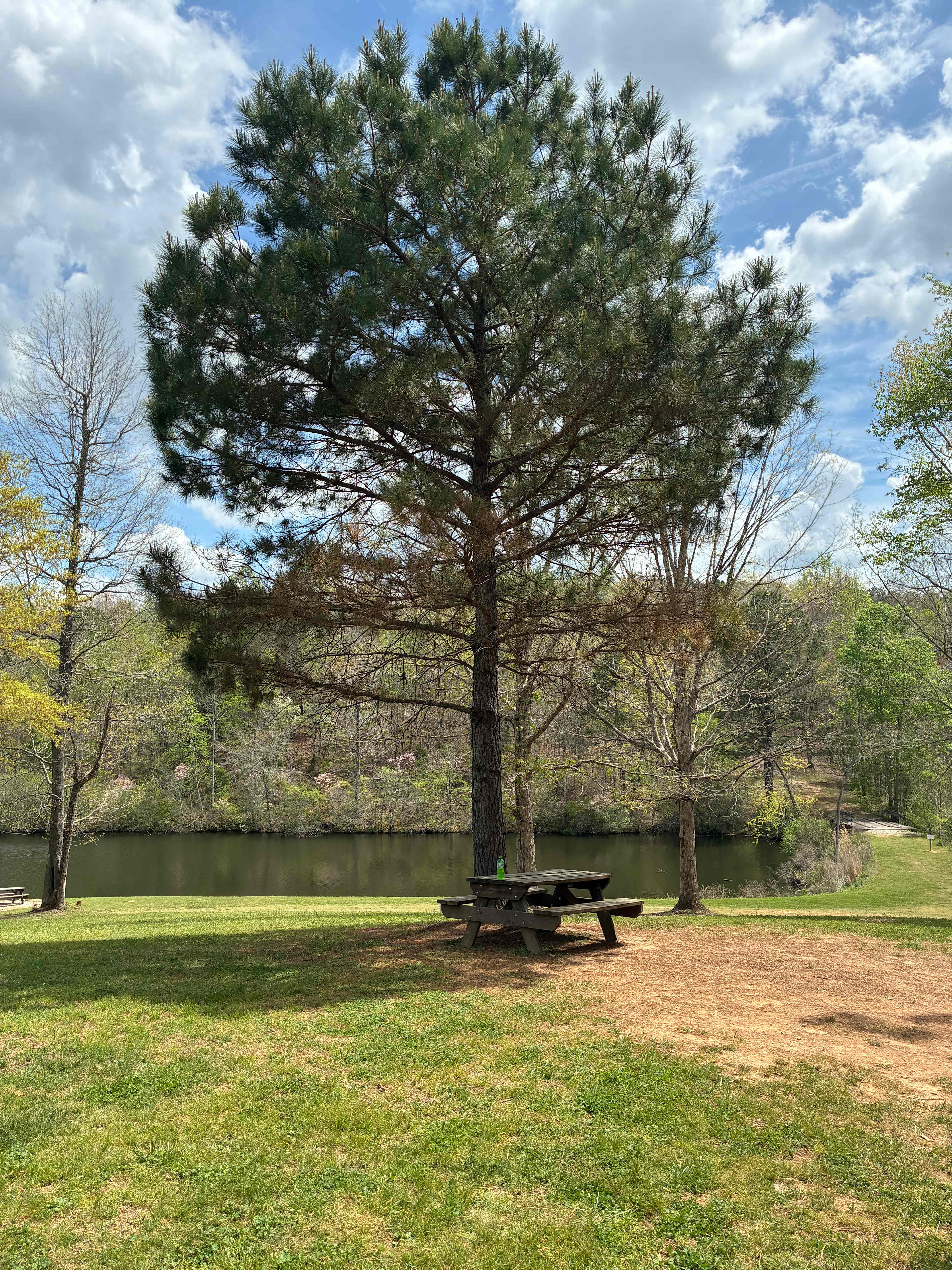 Bohamia - Glamp/RV/Camp