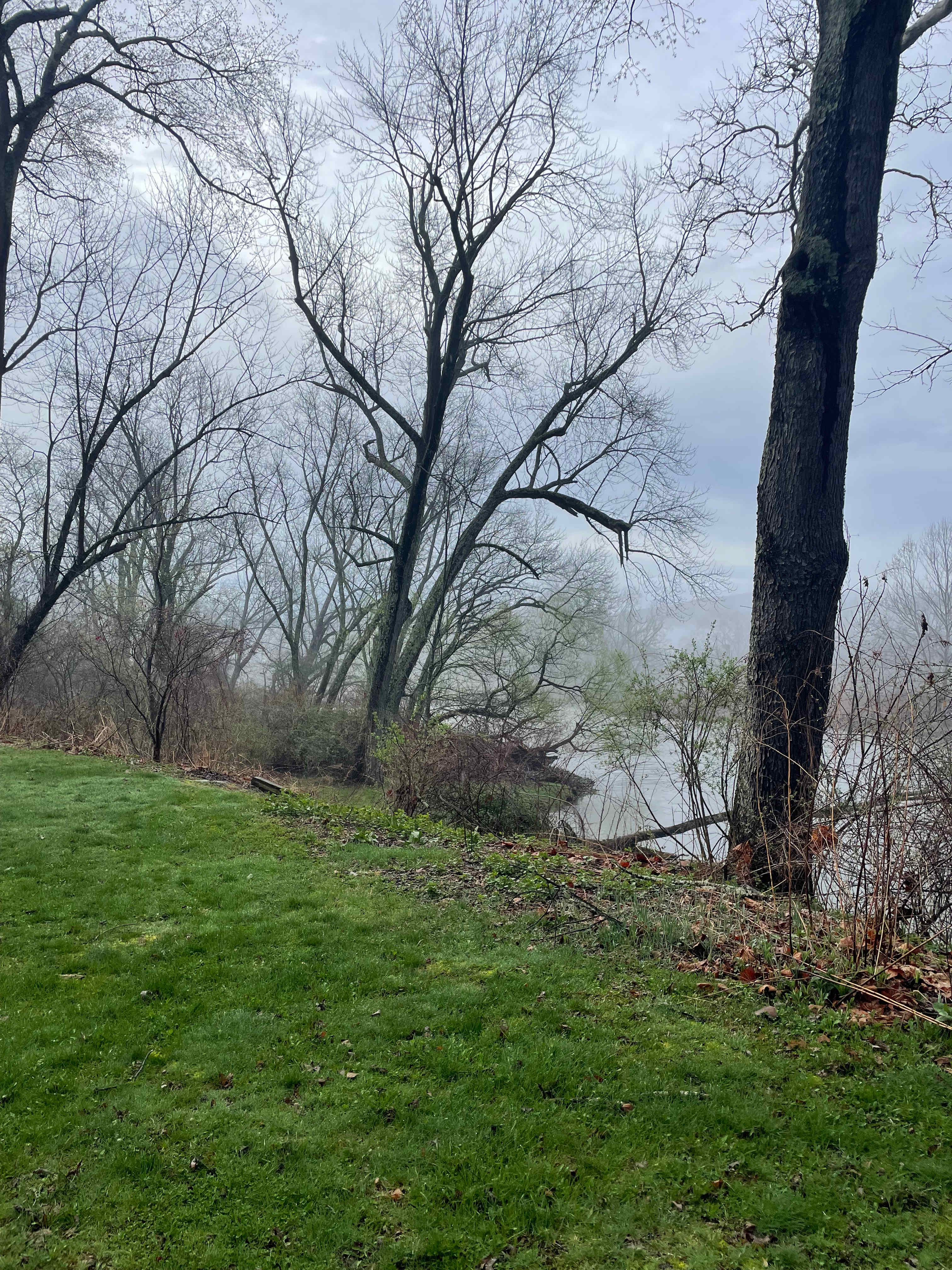 Riverside Camping Site