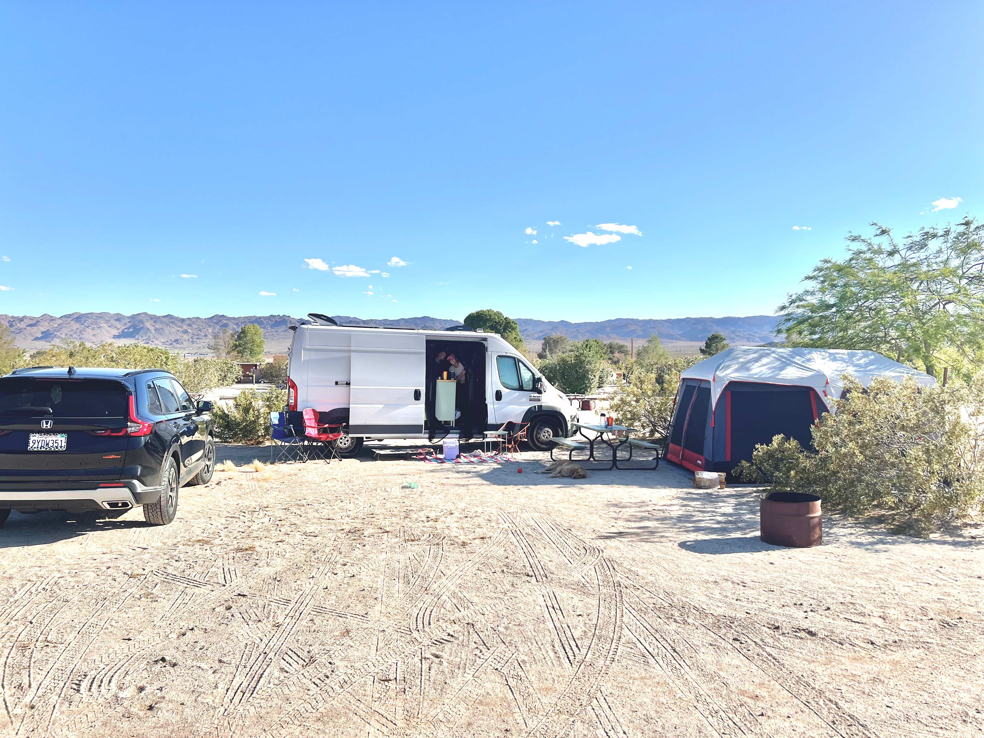 Joshua Tree Lake RV & Campground