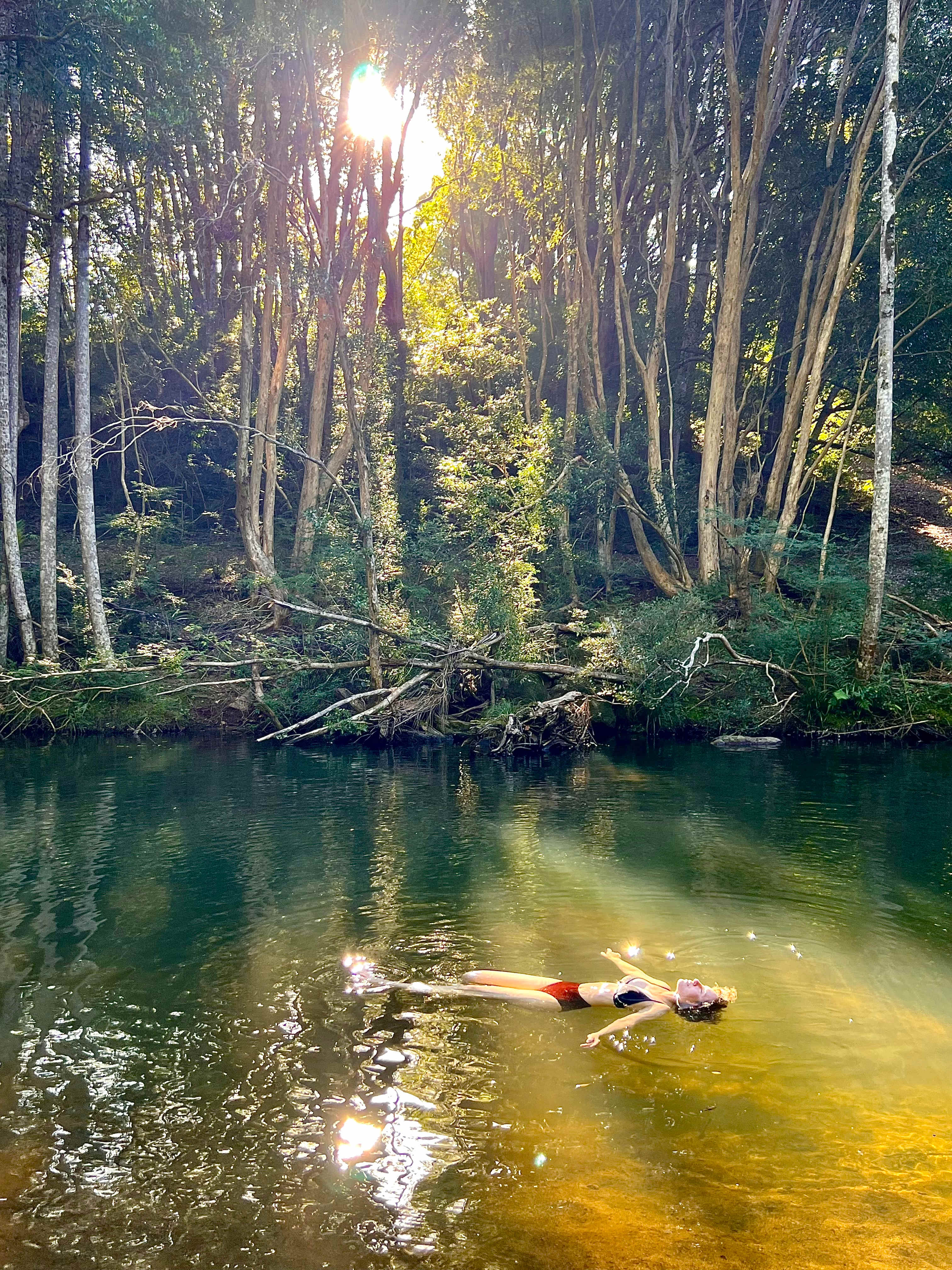 The Hidden Gem