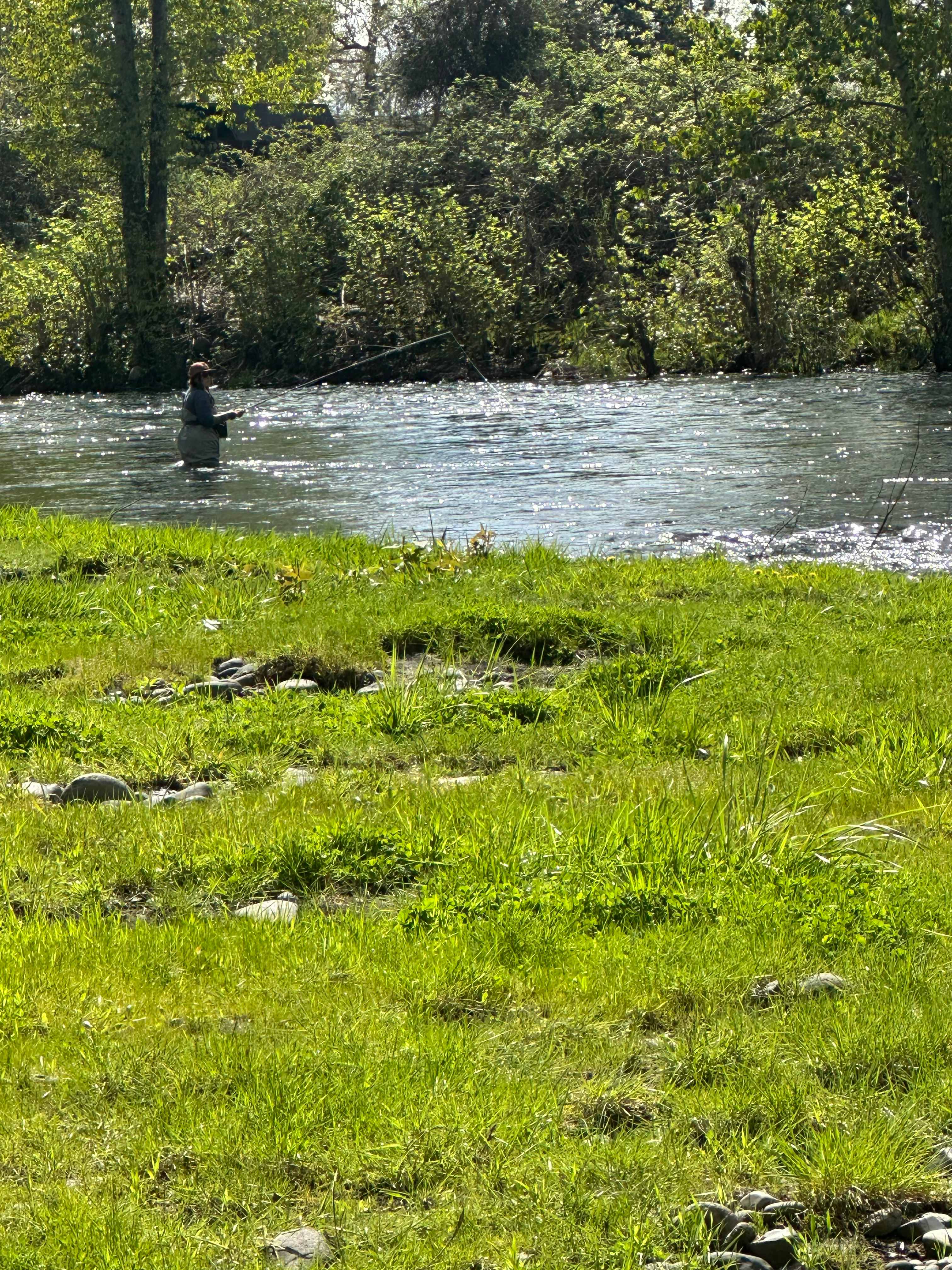 Molalla Ripple