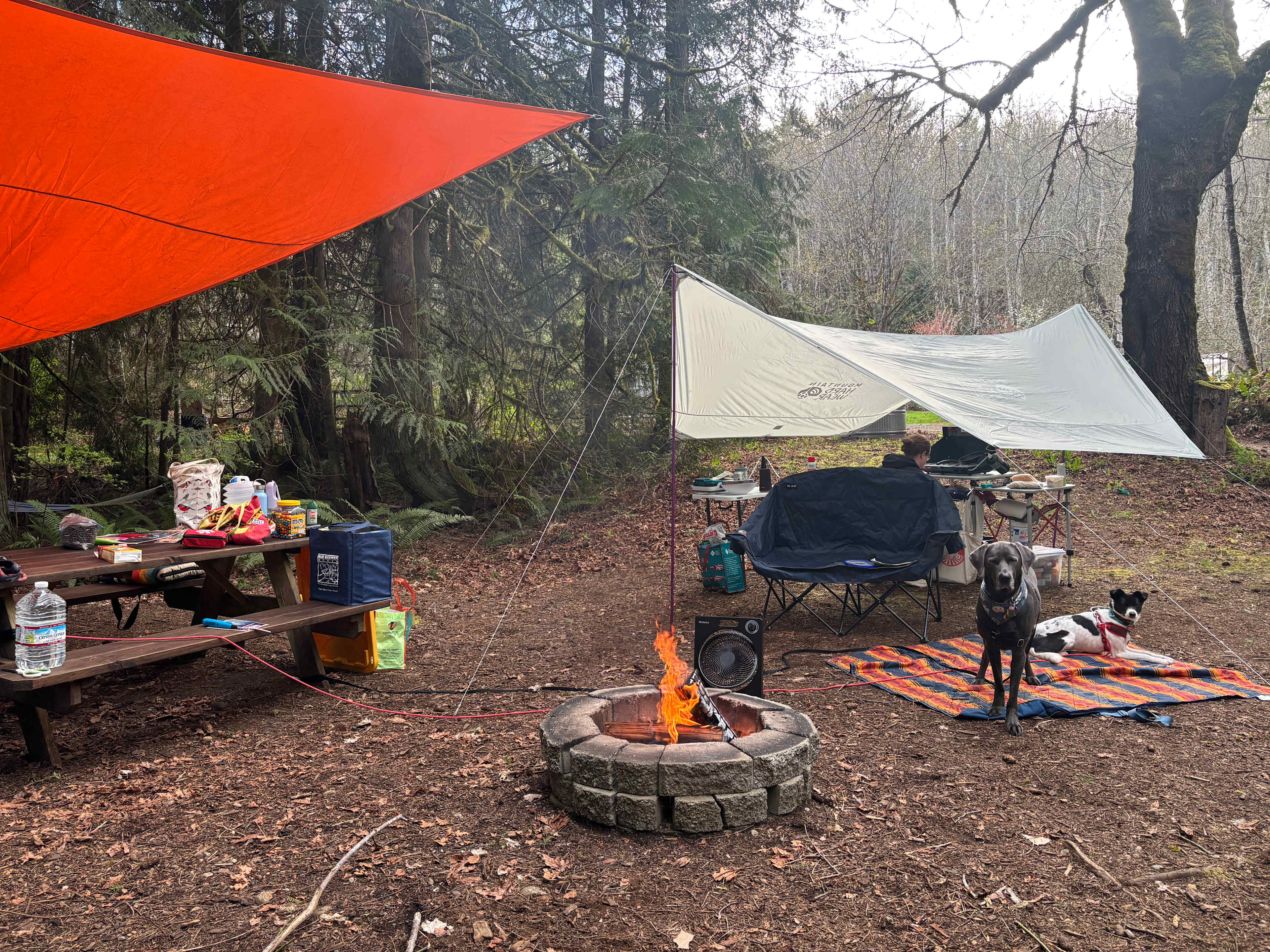 Well maintained fire pits