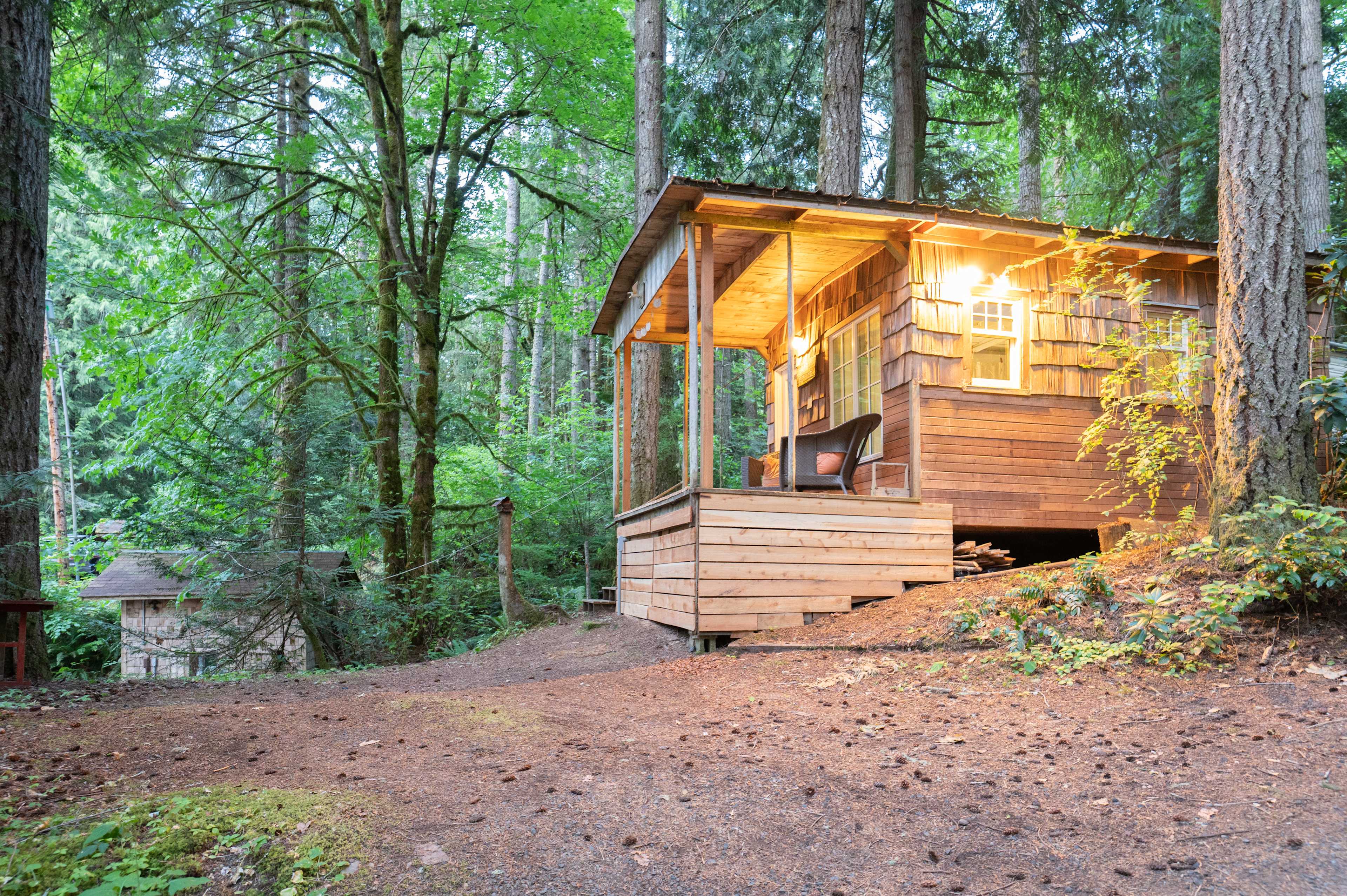 Elevation Hive Forest Retreat