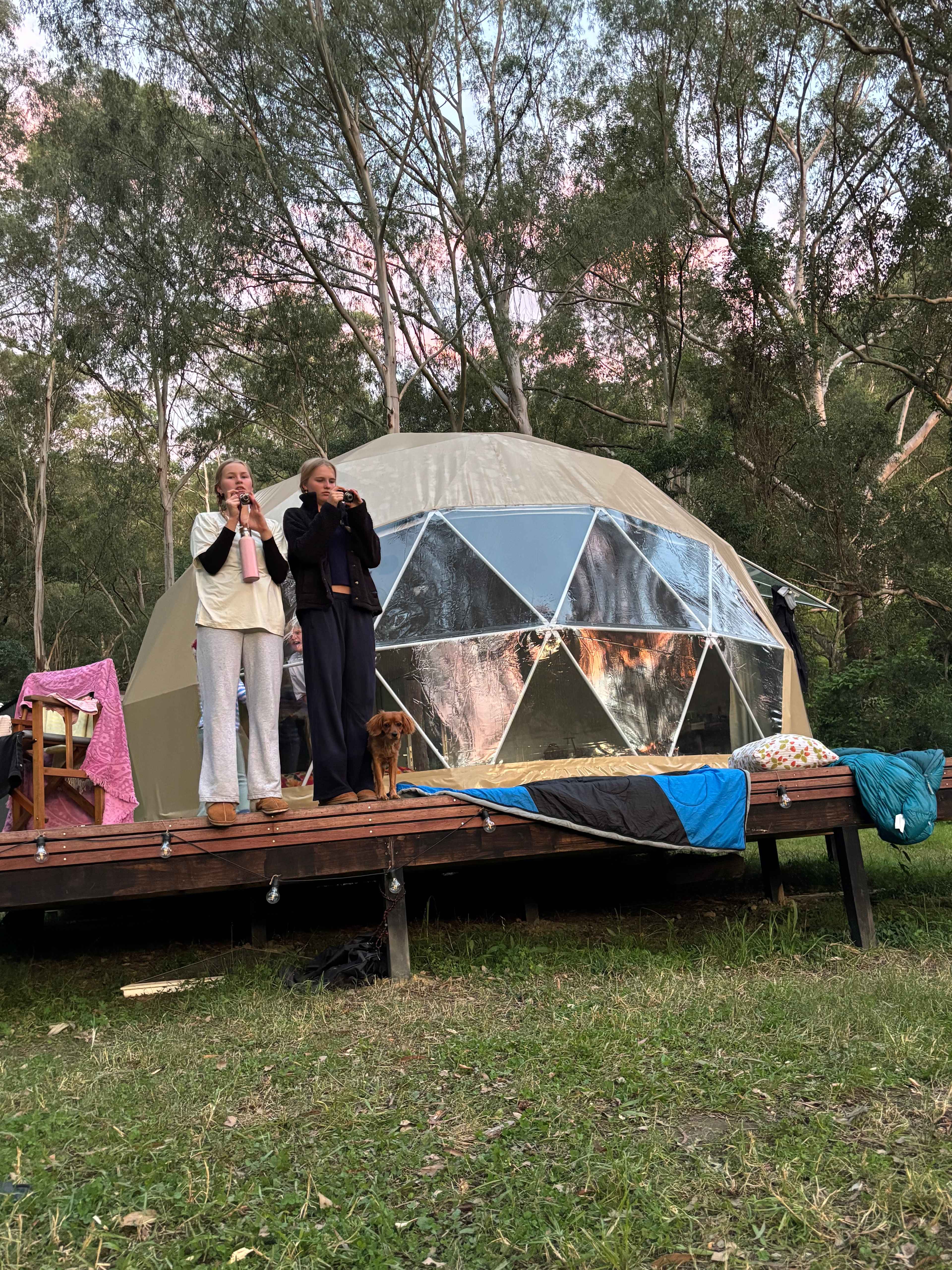 Glamping Around An Ancient Tree